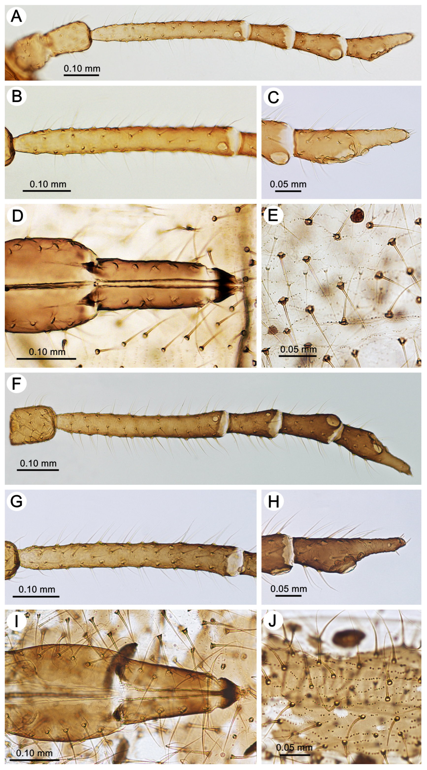 Insects 15 00203 g004