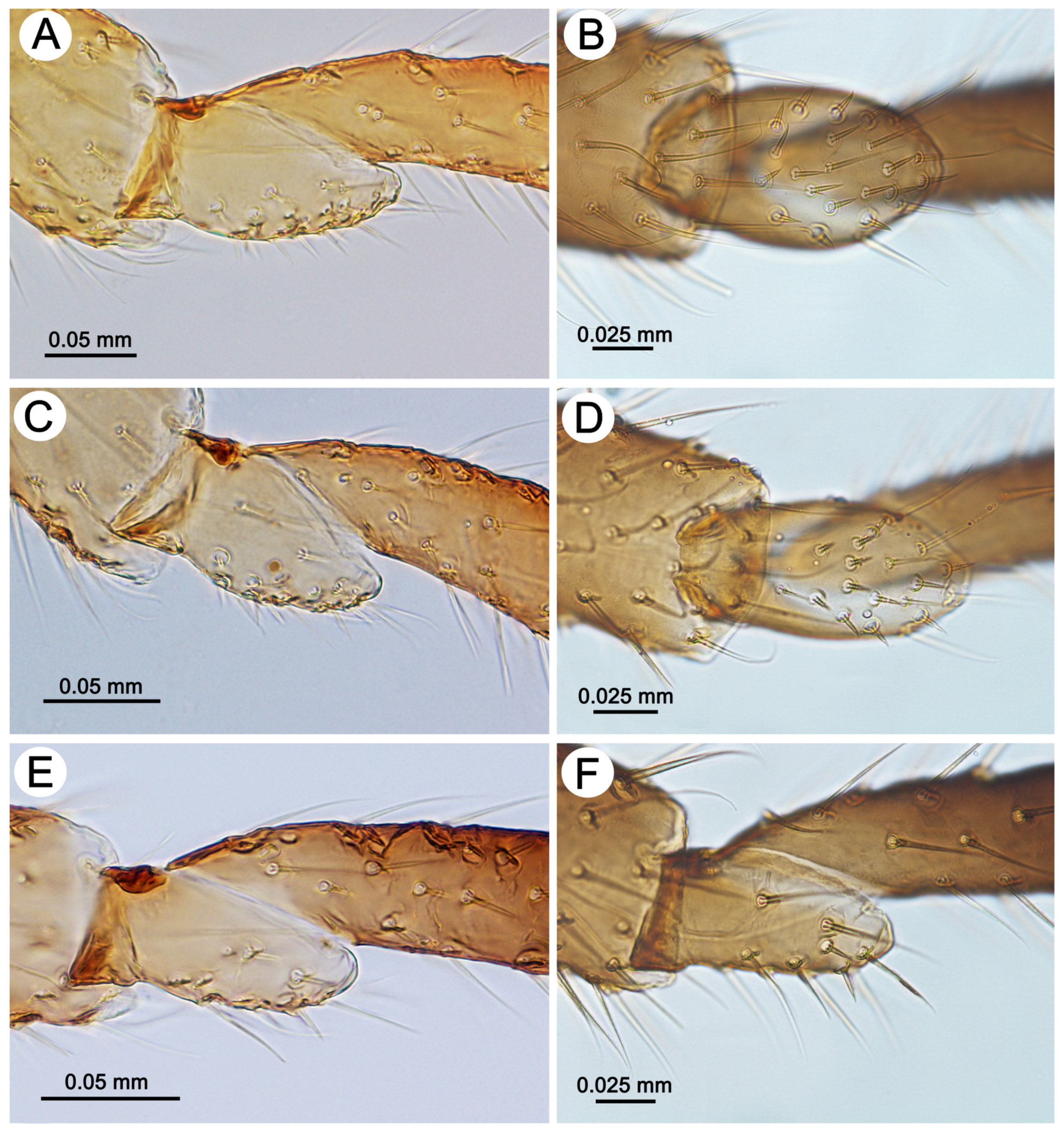 Insects 15 00203 g005