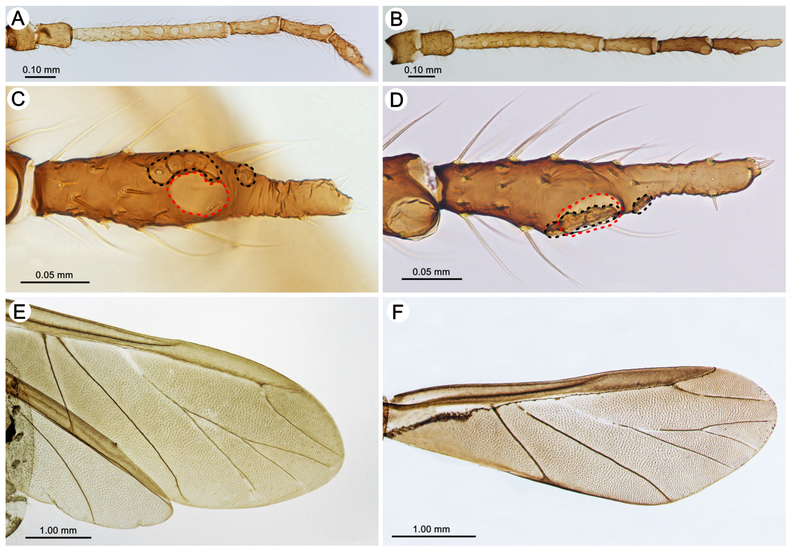 Insects 15 00203 g007