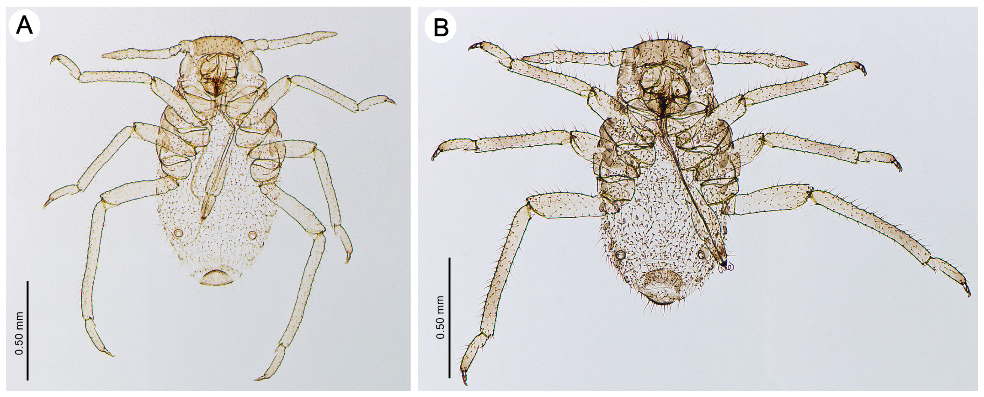 Insects 15 00203 g008