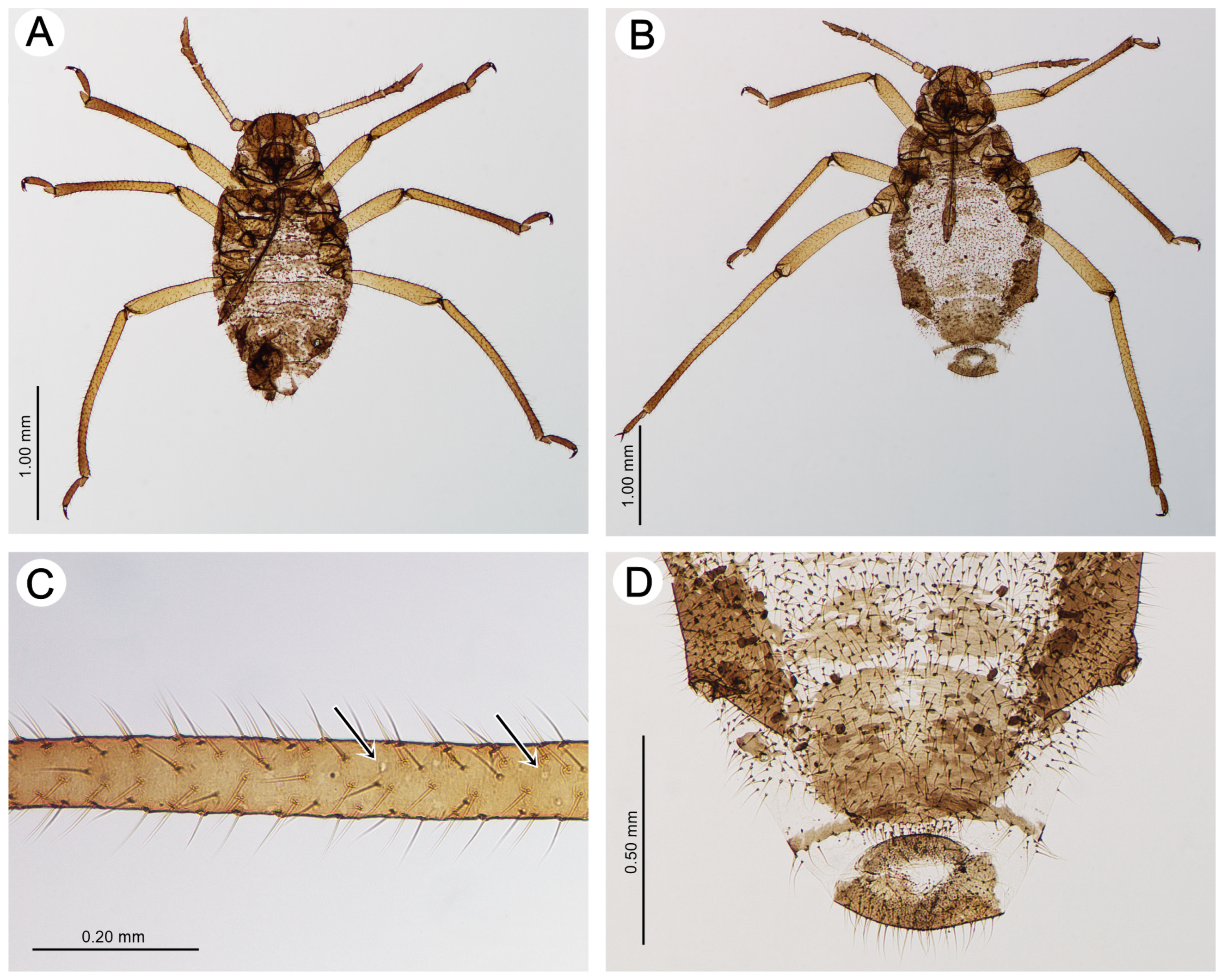 Insects 15 00203 g010