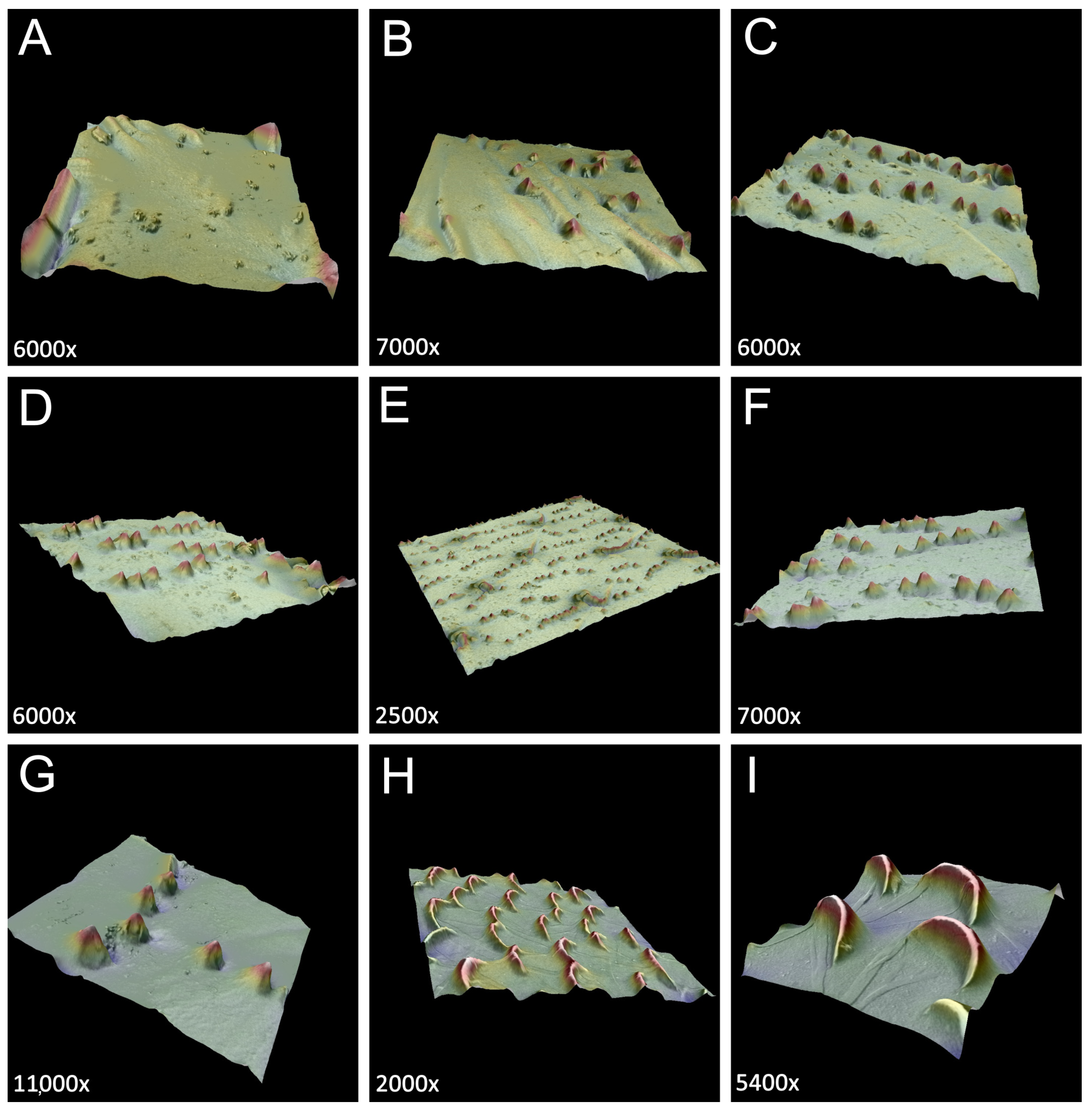 Insects 15 00203 g013