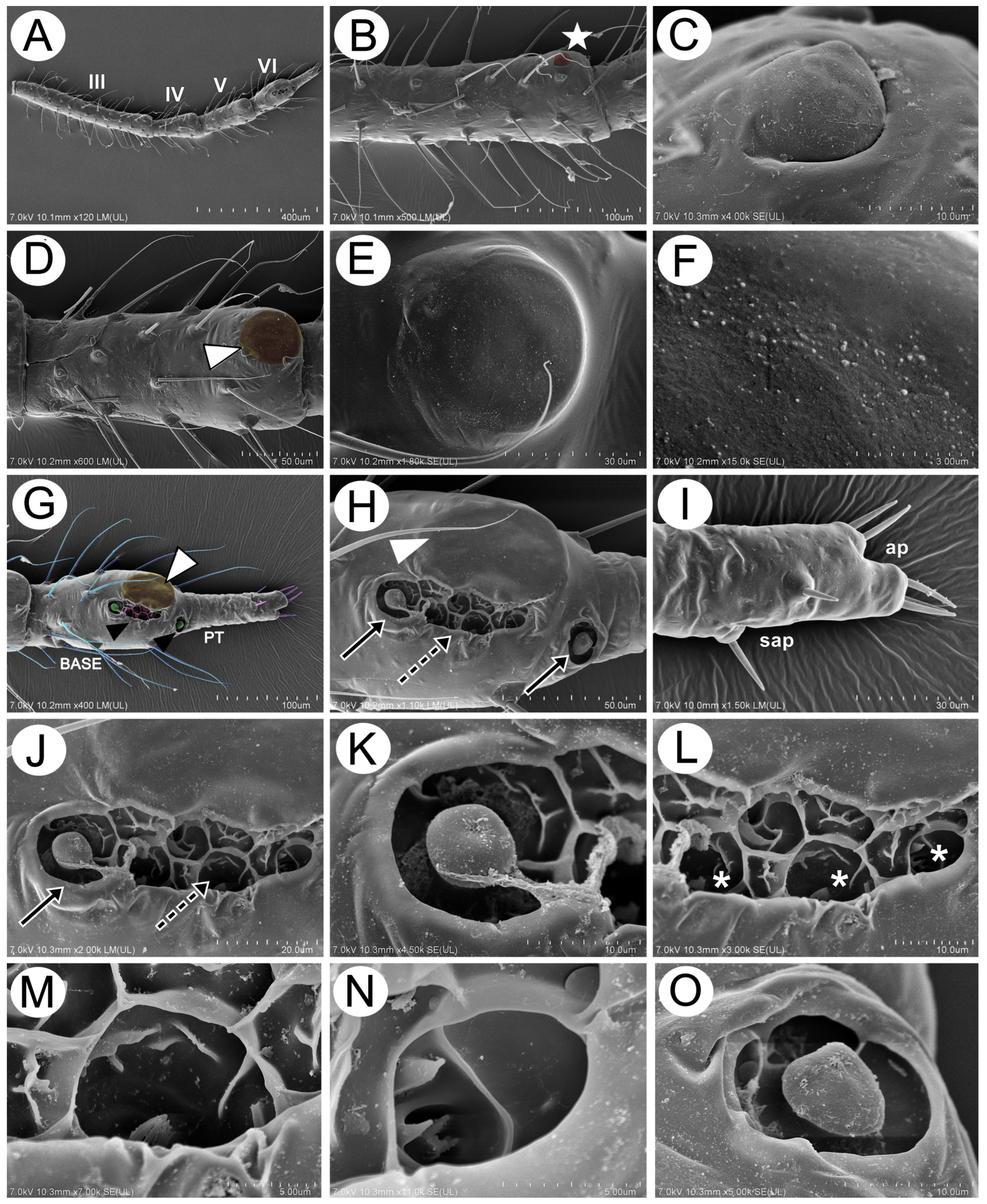 Insects 15 00203 g014
