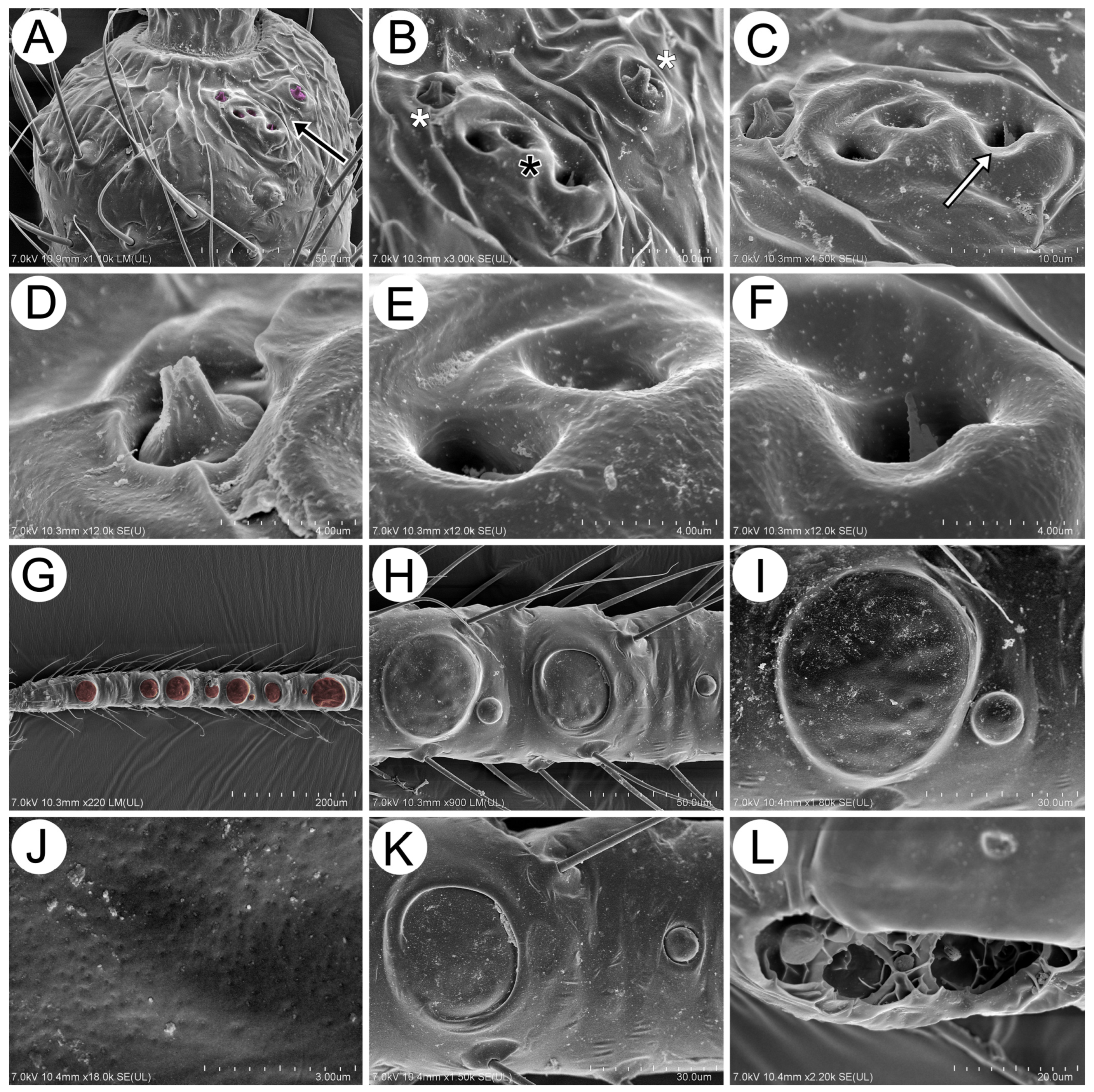 Insects 15 00203 g015