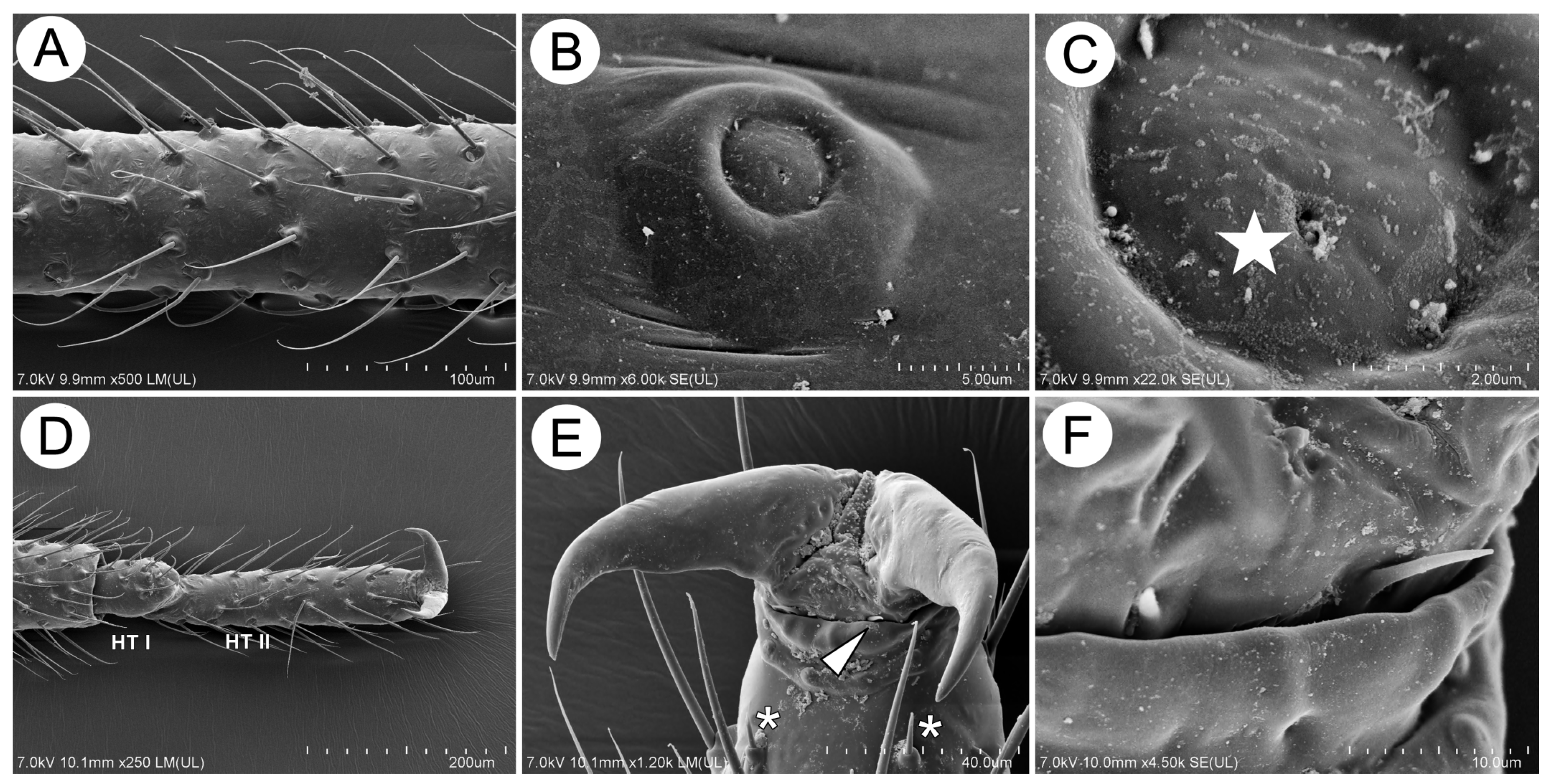 Insects 15 00203 g016