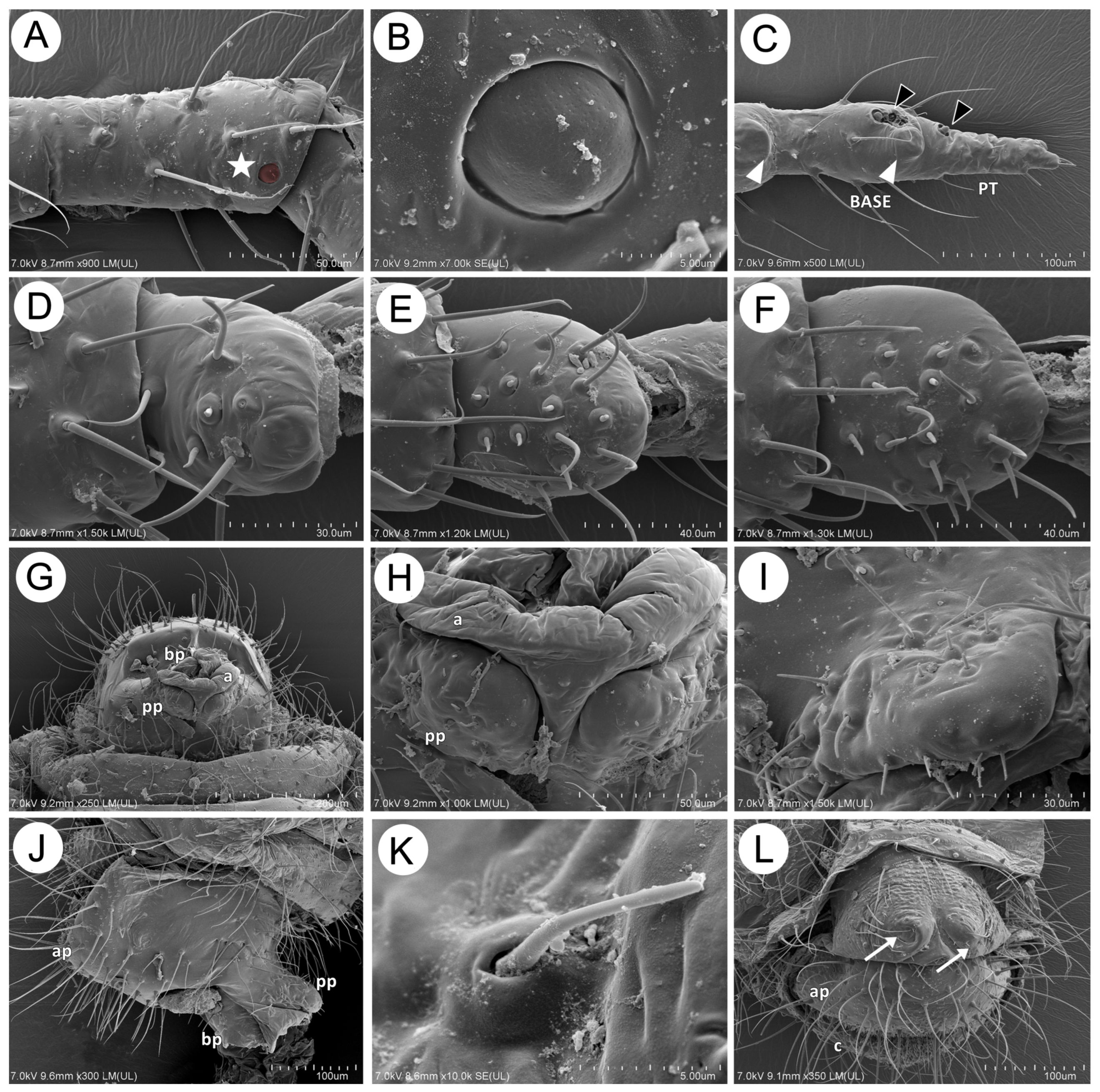 Insects 15 00203 g019