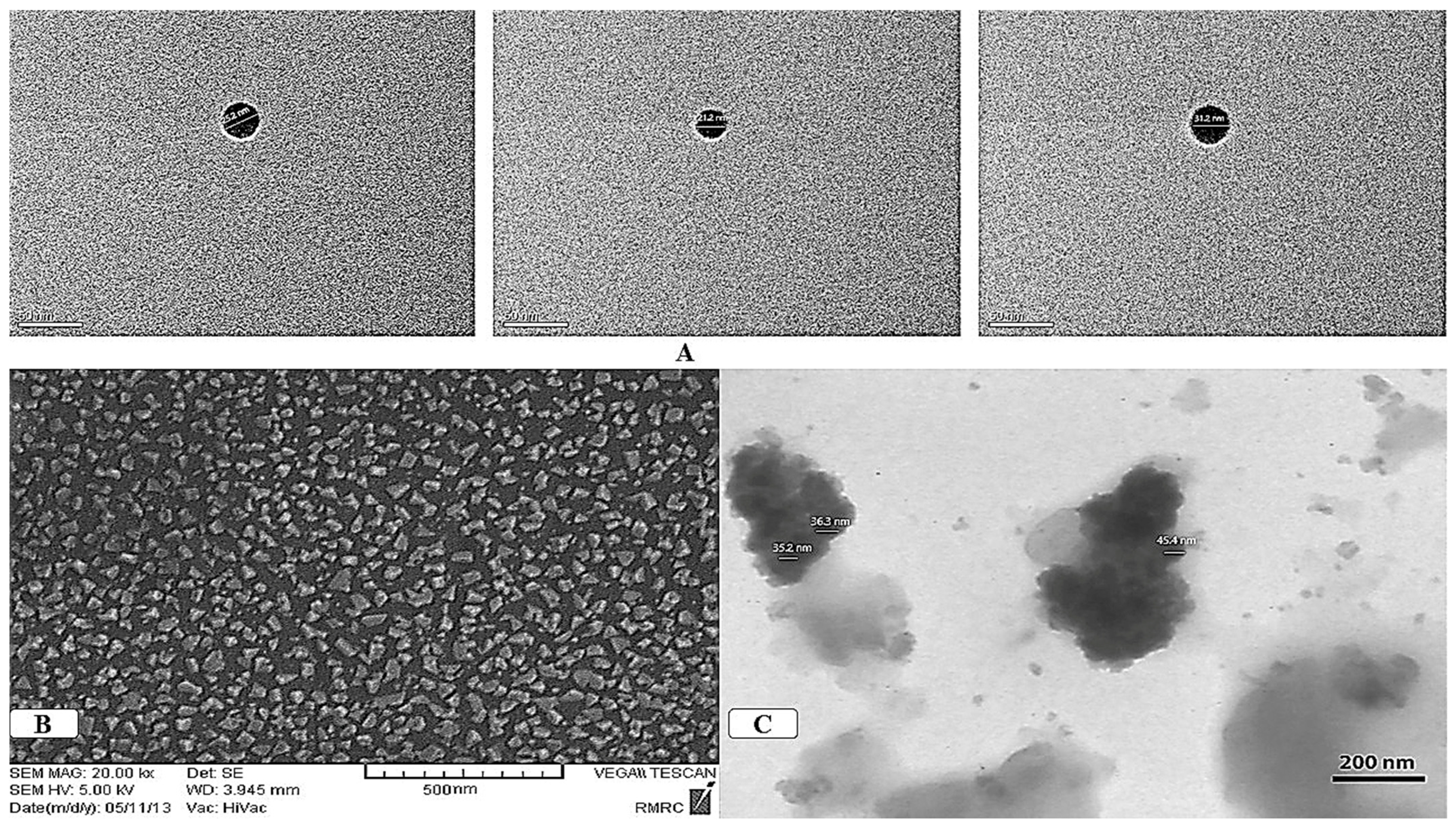 Insects 15 00209 g001 Insects 15 00209 g001