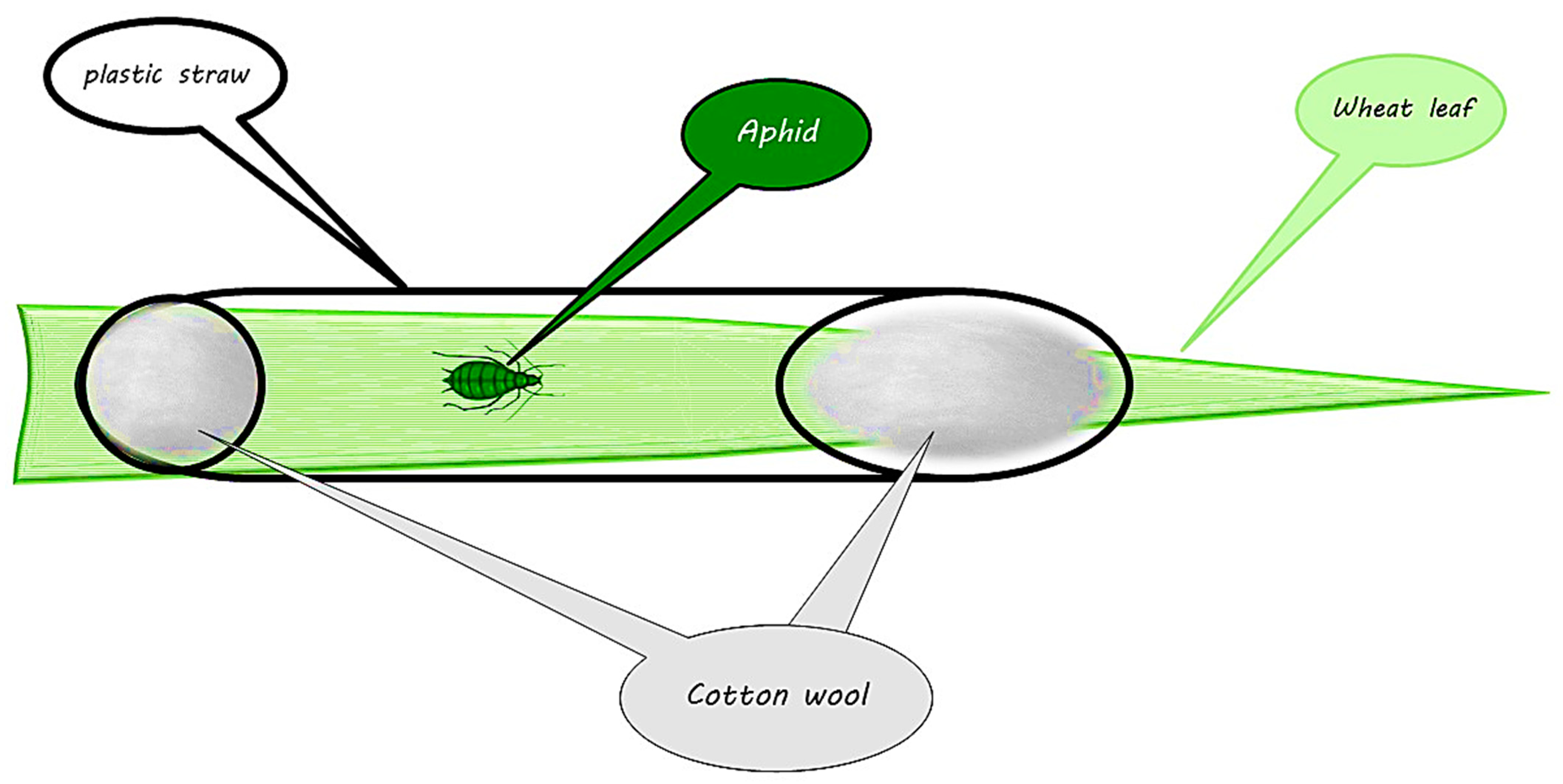 Insects 15 00209 g002 Insects 15 00209 g002