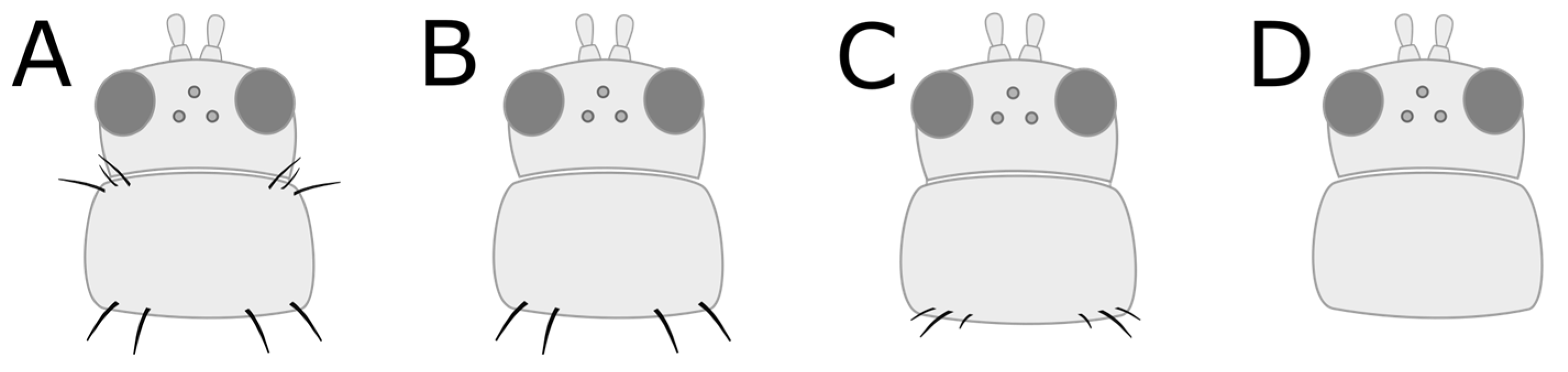 Insects 15 00211 g004