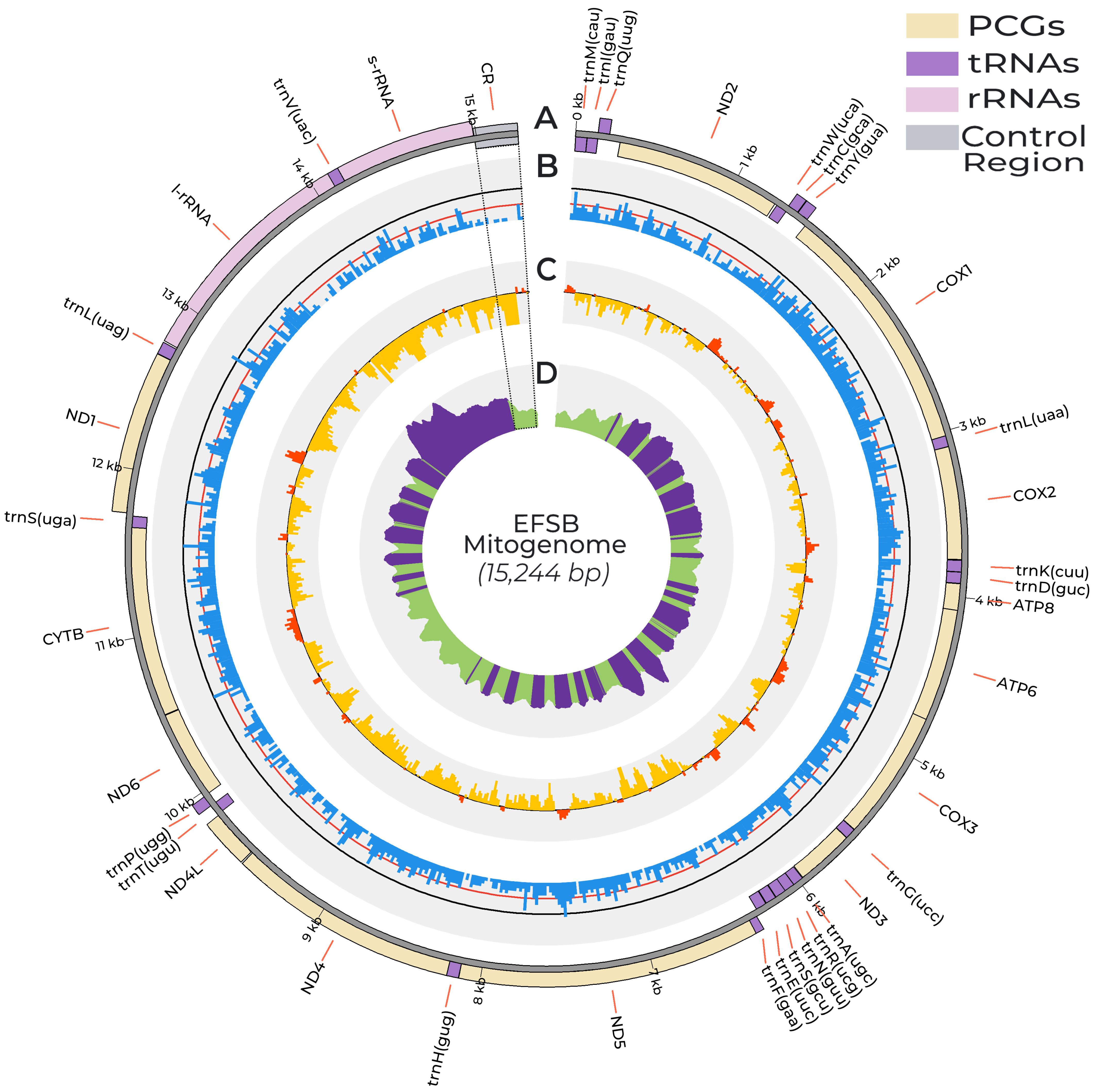 Insects 15 00220 g001