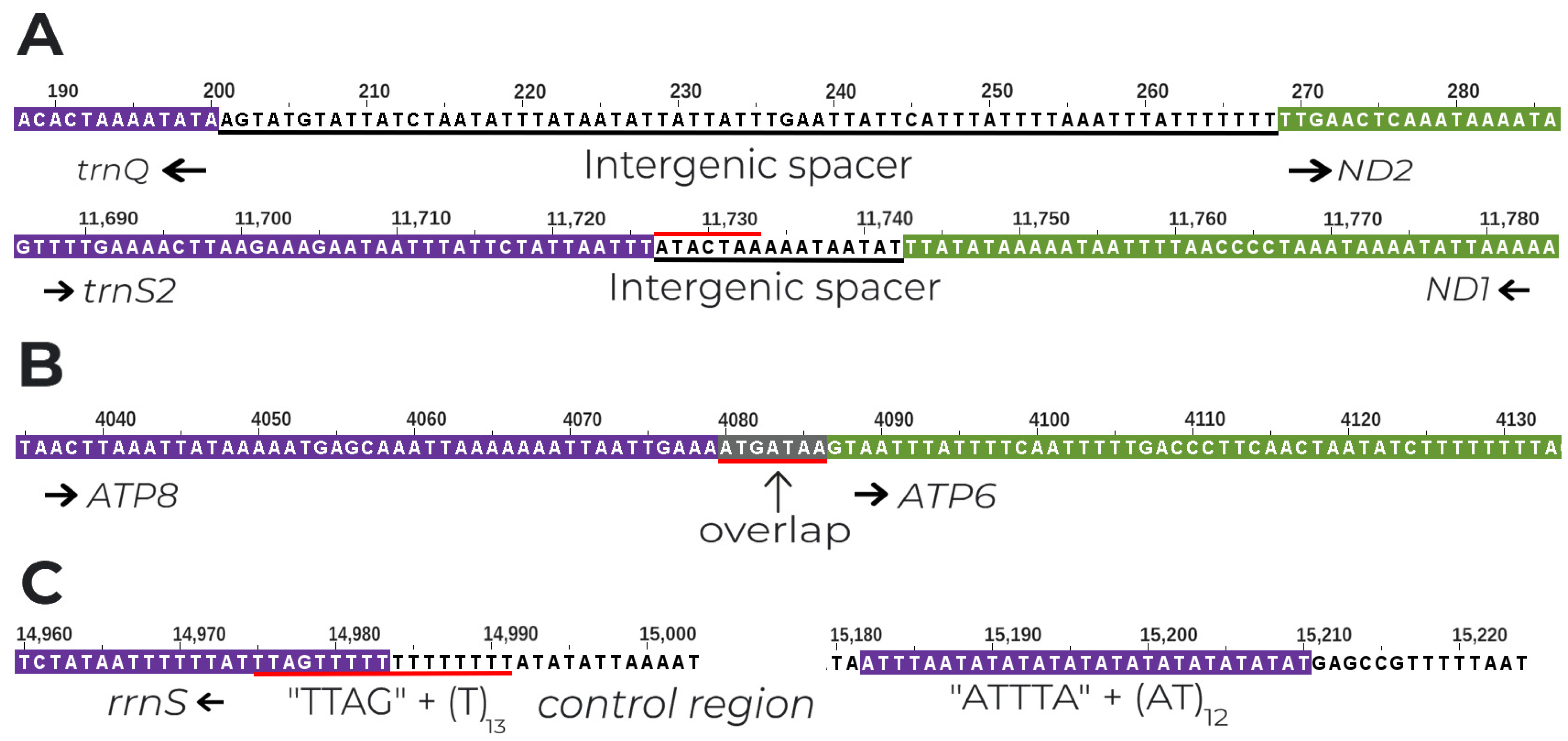 Insects 15 00220 g002