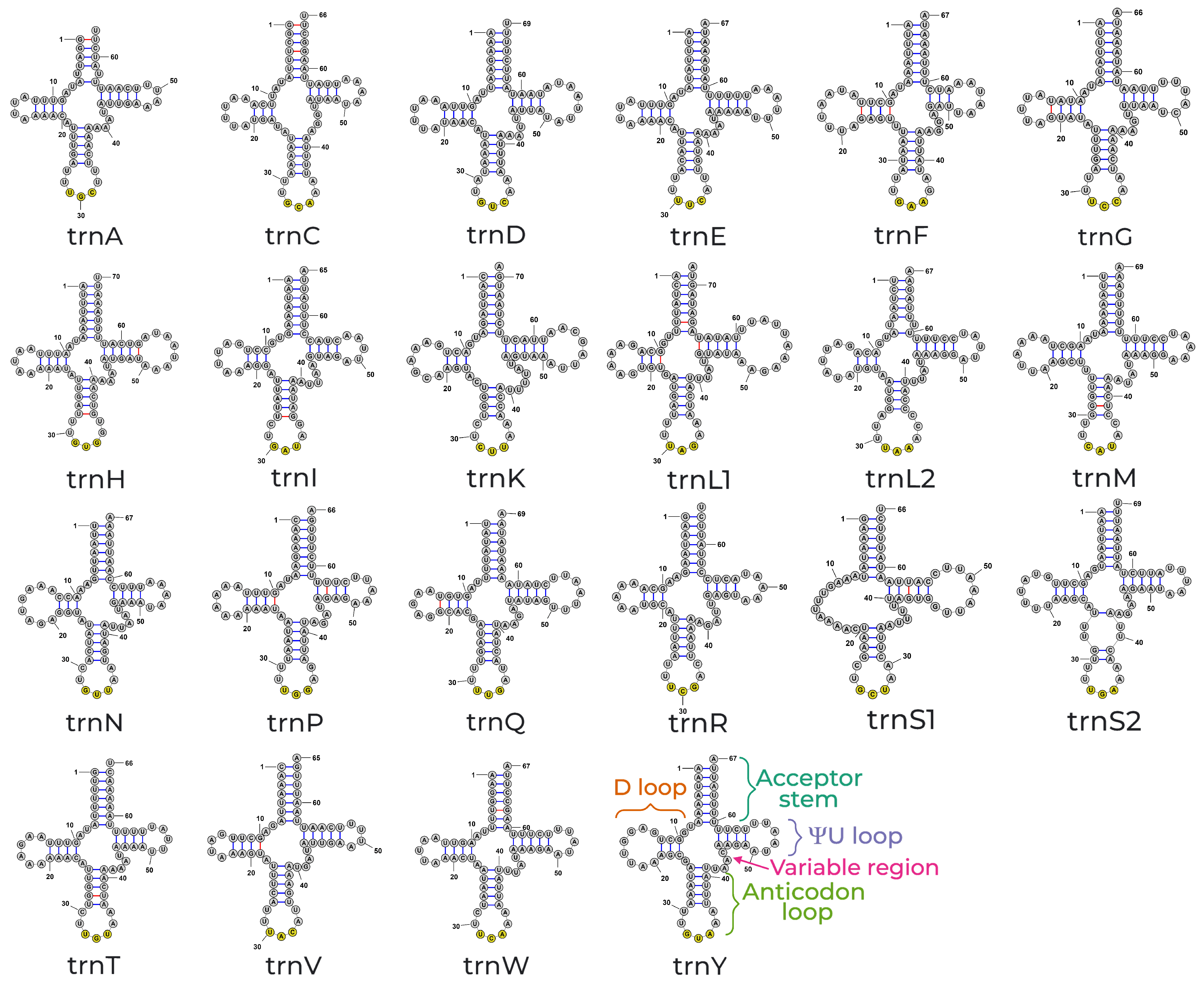 Insects 15 00220 g004