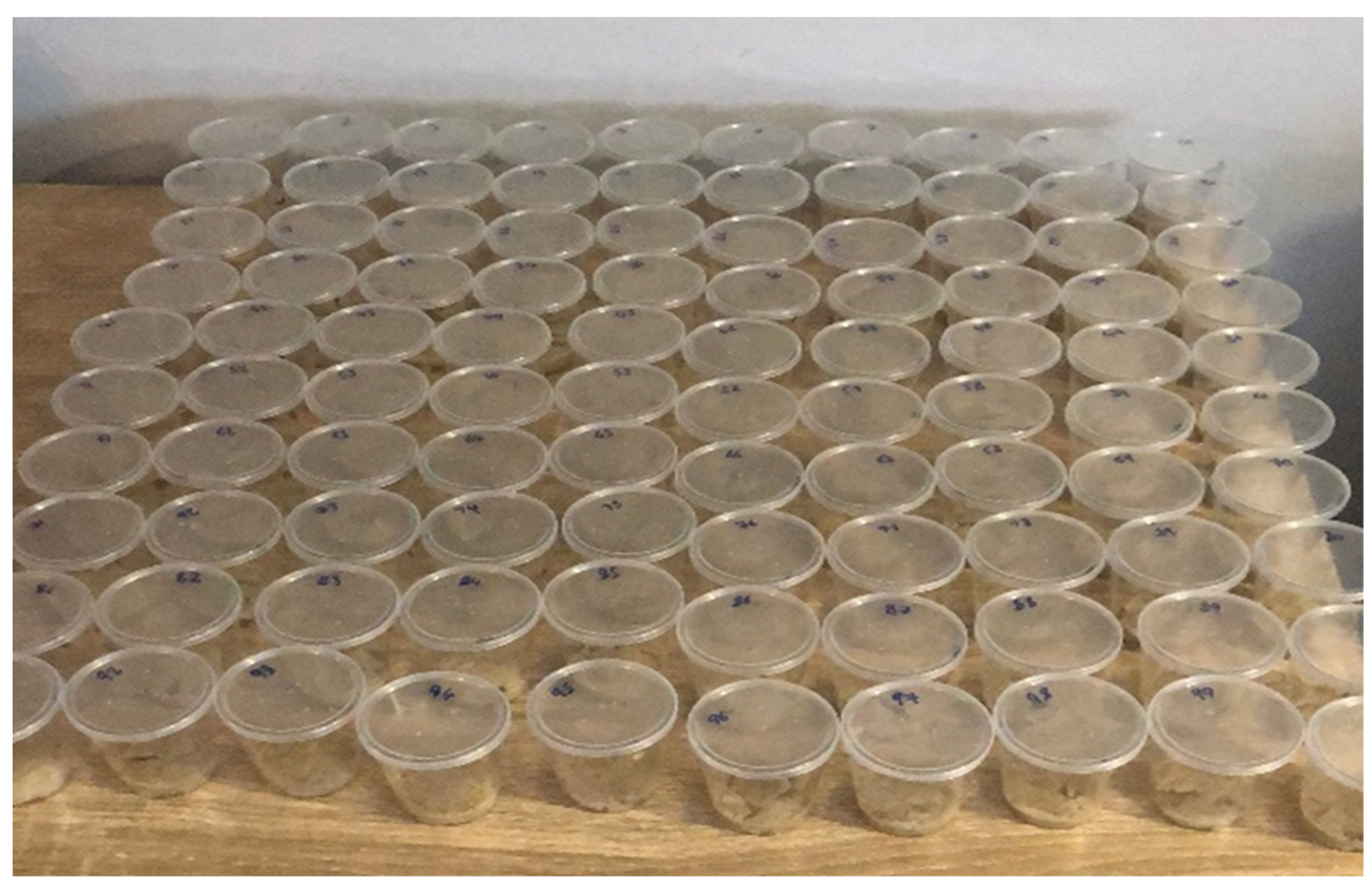 Insects 15 00221 g001