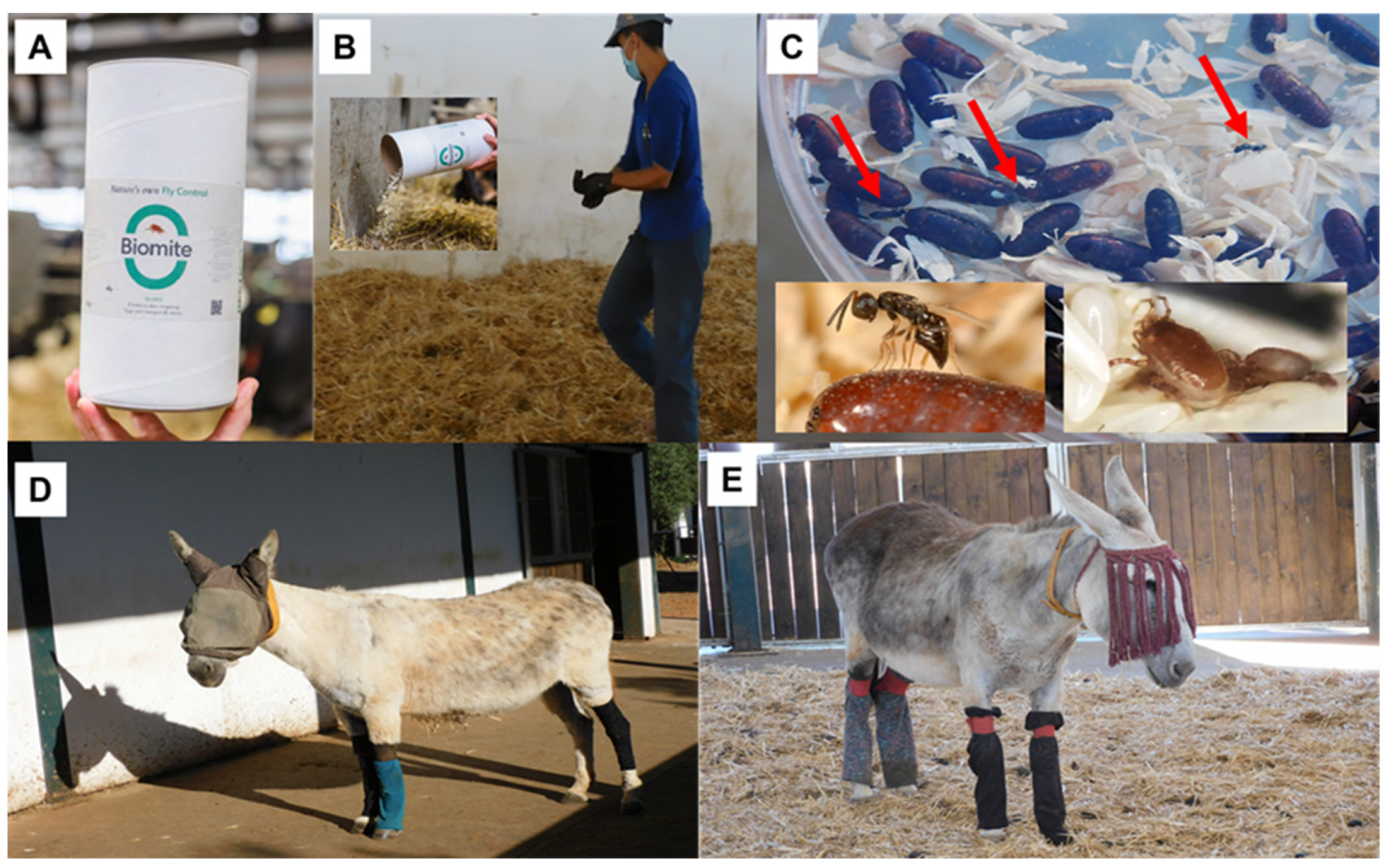 Insects 15 00222 g002