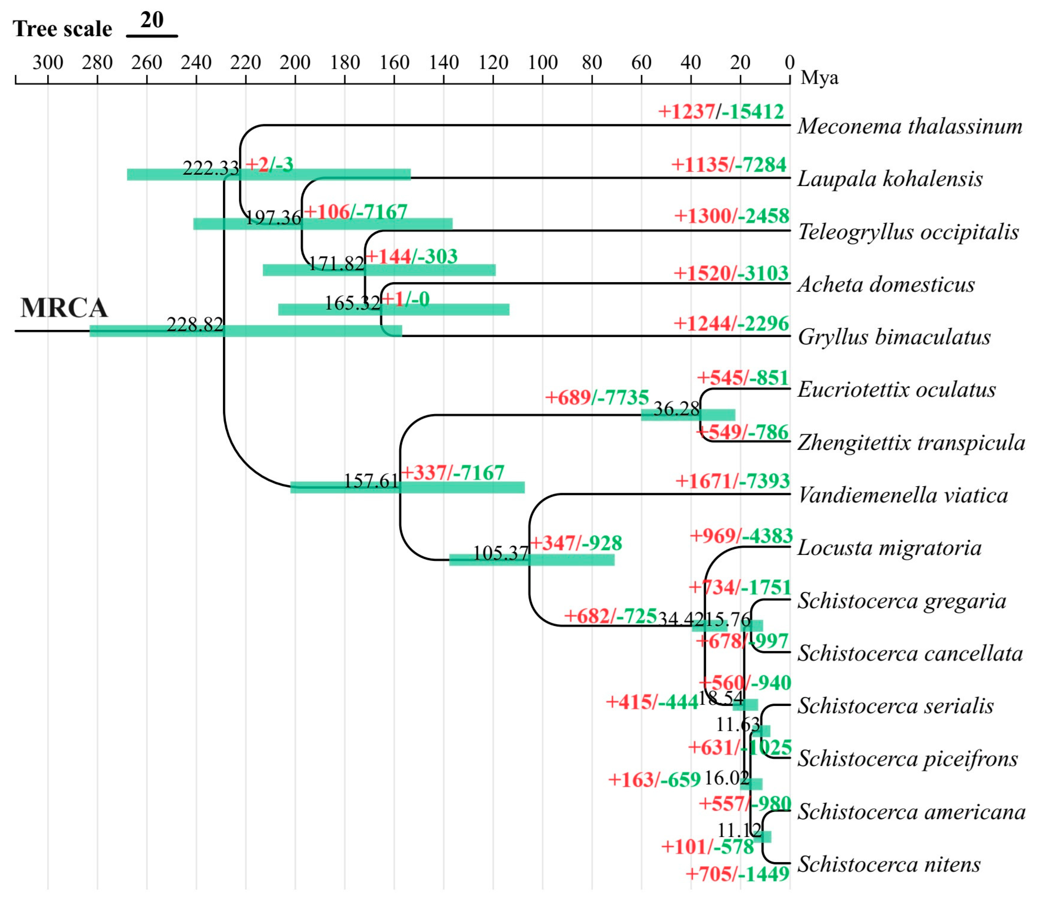 Insects 15 00223 g004