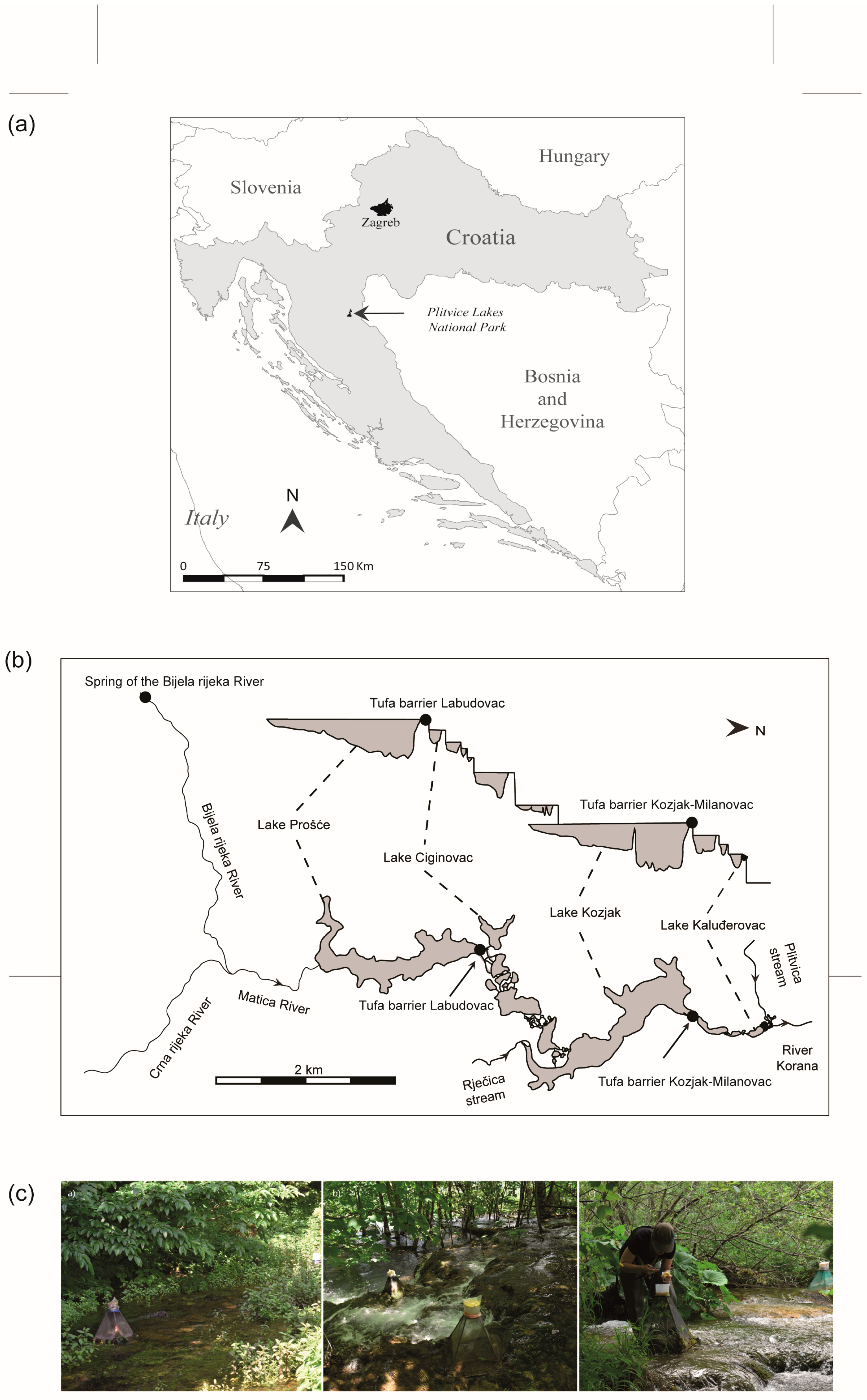 Insects 15 00226 g001
