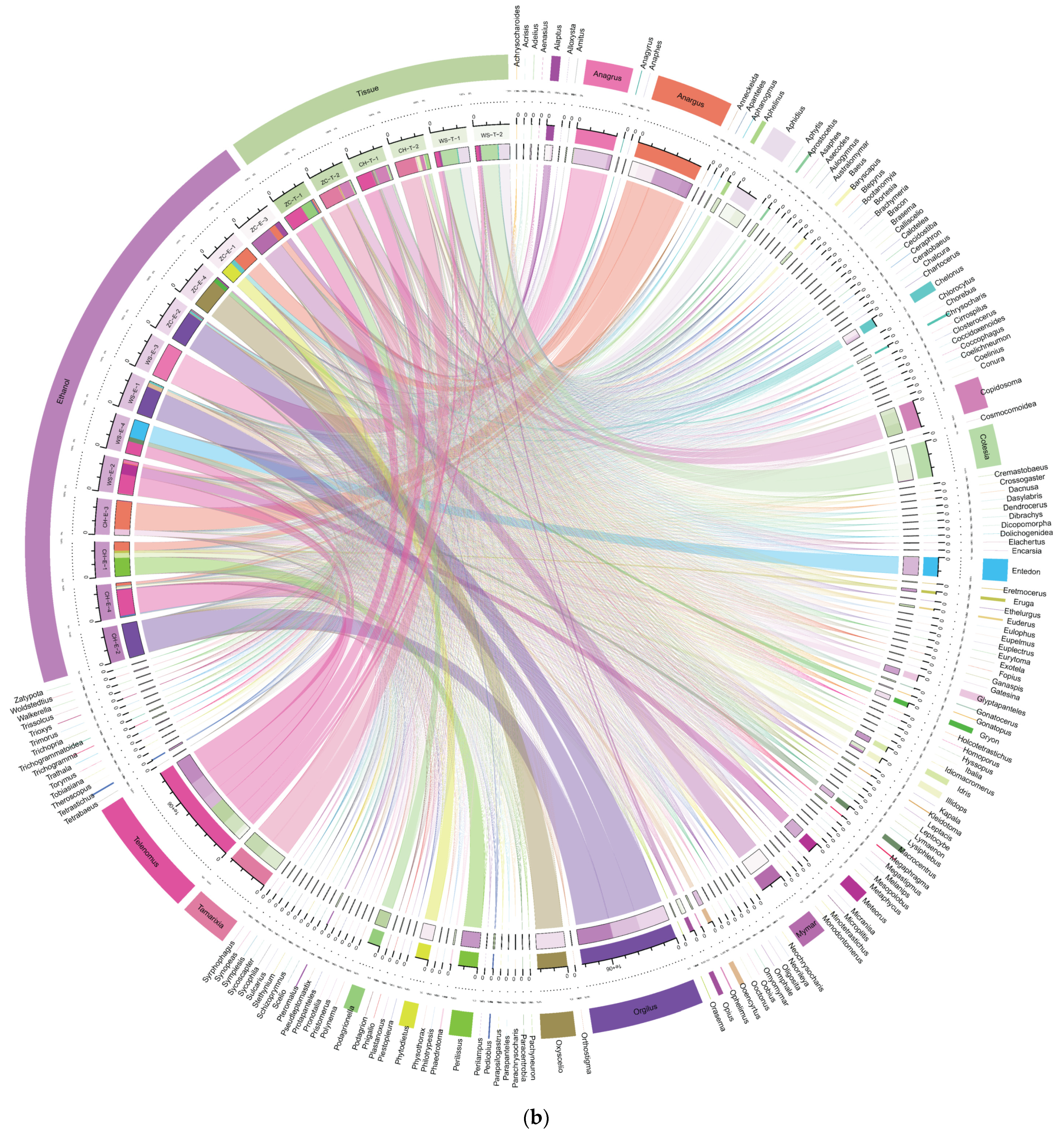 Insects 15 00228 g006b