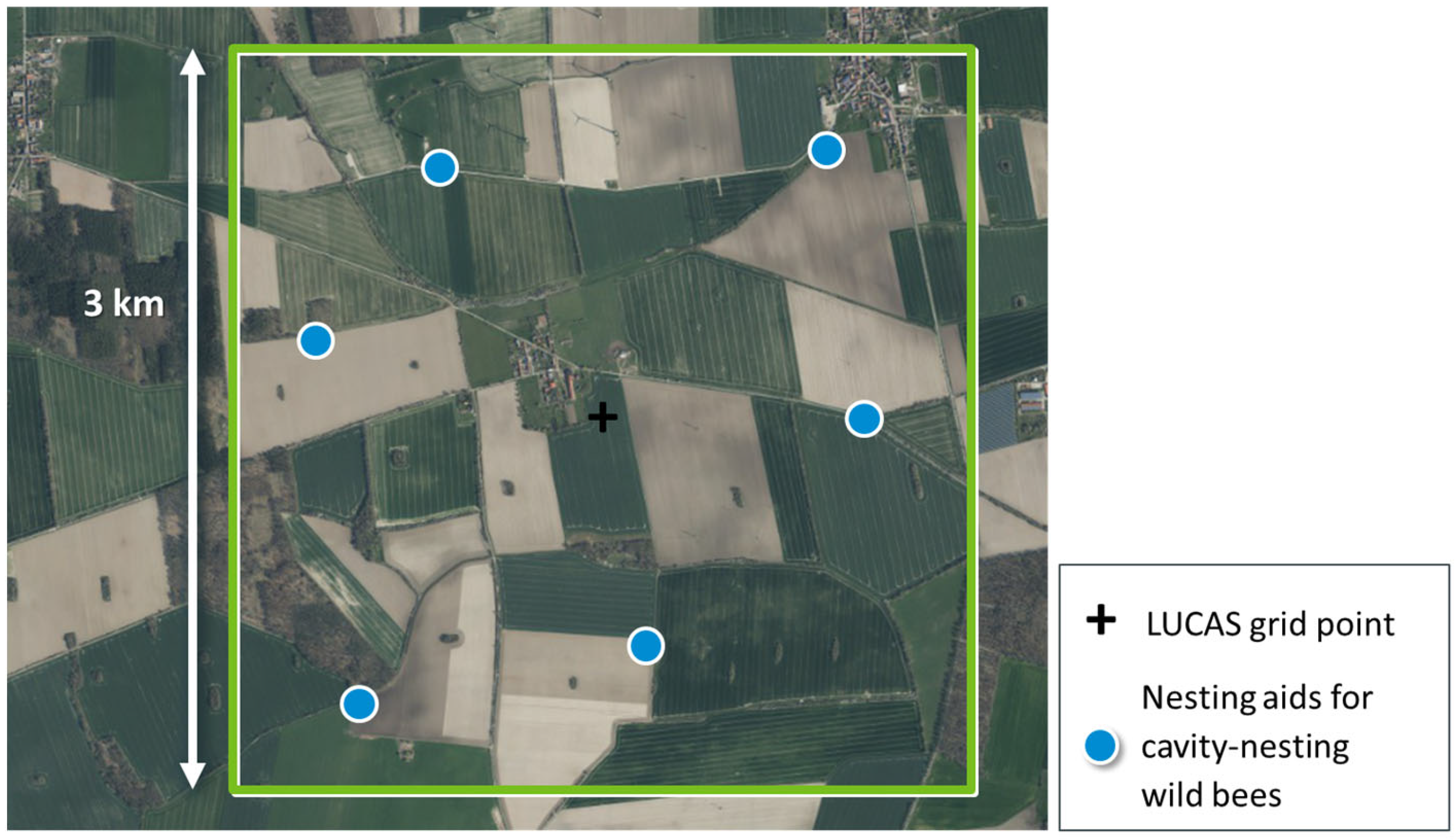 Insects 15 00229 g003