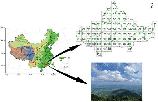 Stability and Assembly Mechanisms of Butterfly Communities