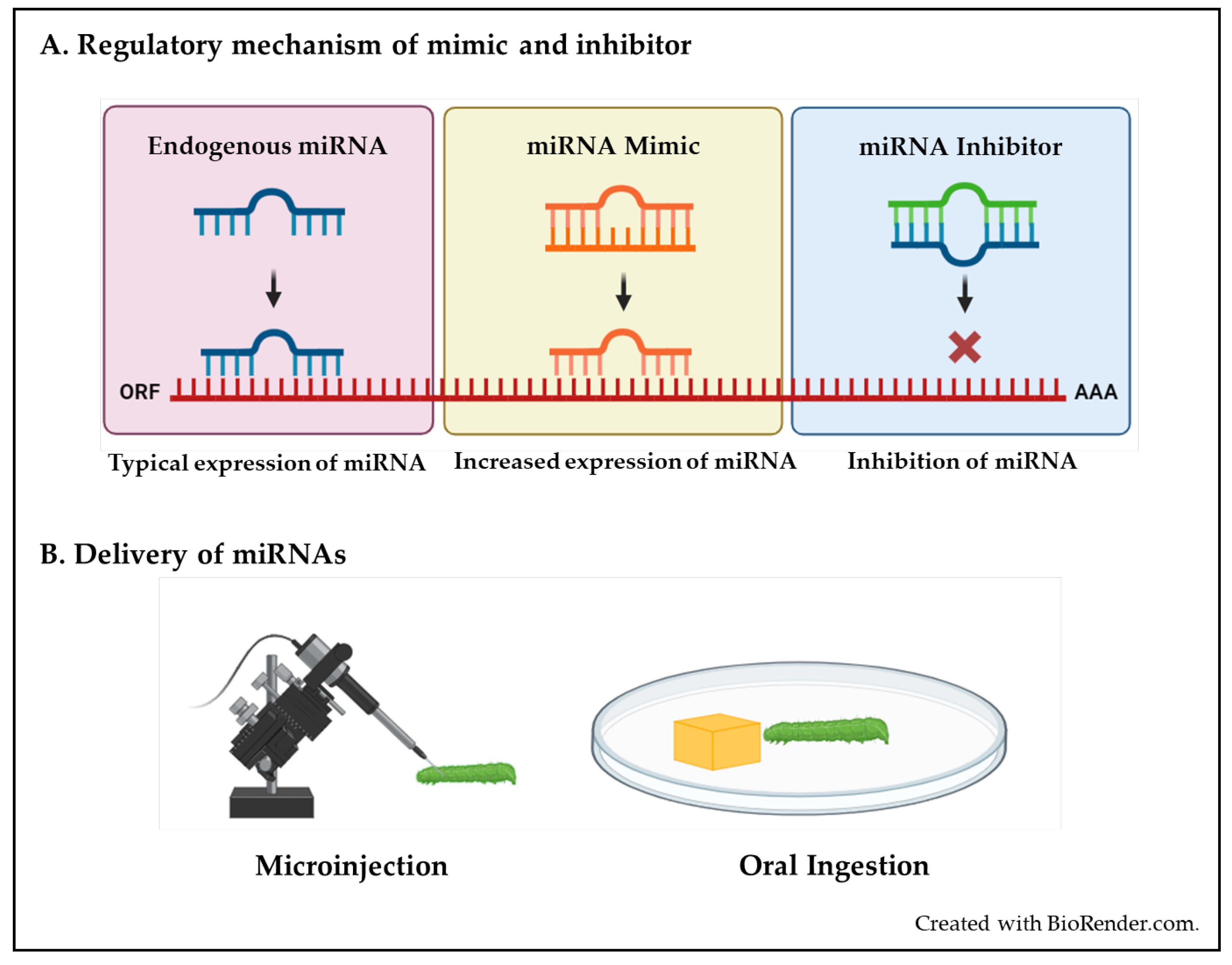 Insects 15 00238 g002