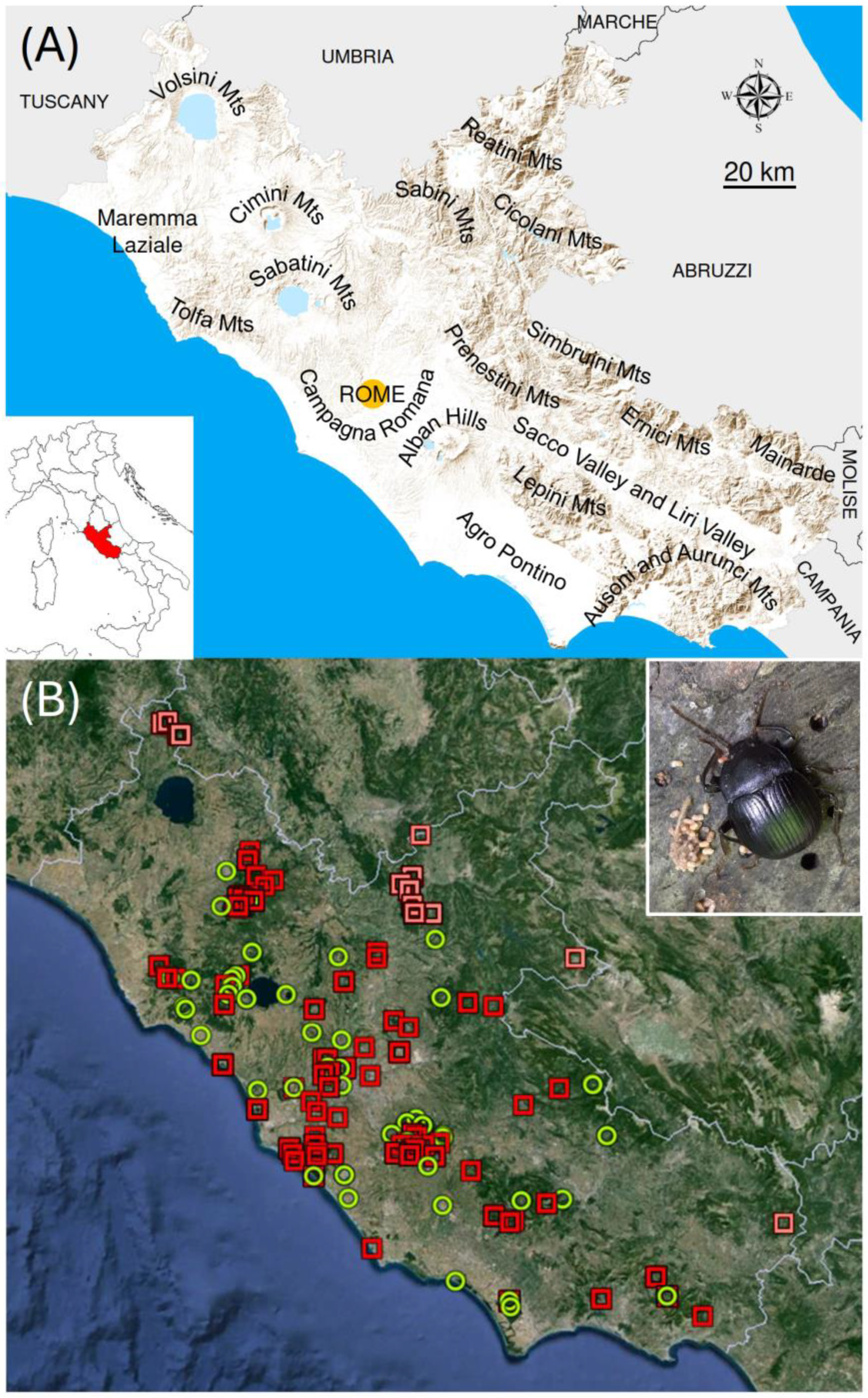 Insects 15 00242 g001 Insects 15 00242 g001