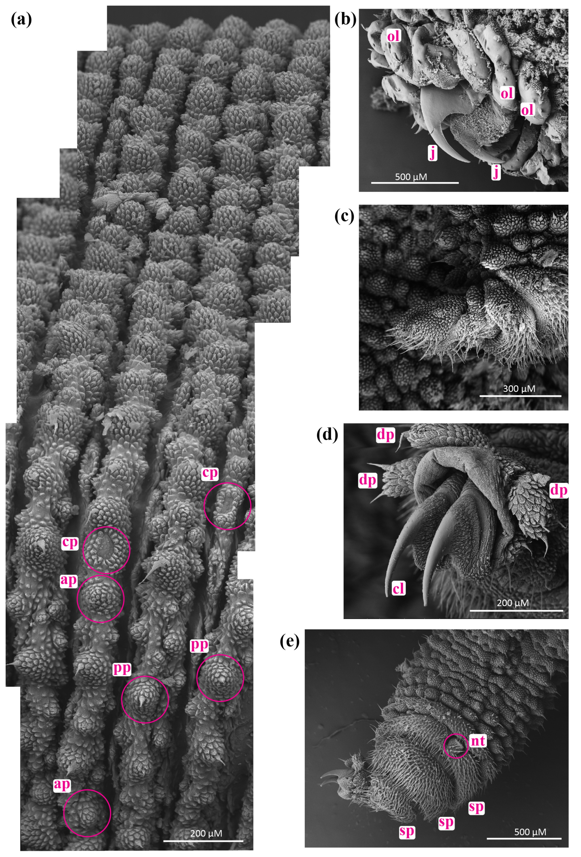 Insects 15 00248 g003 Insects 15 00248 g003