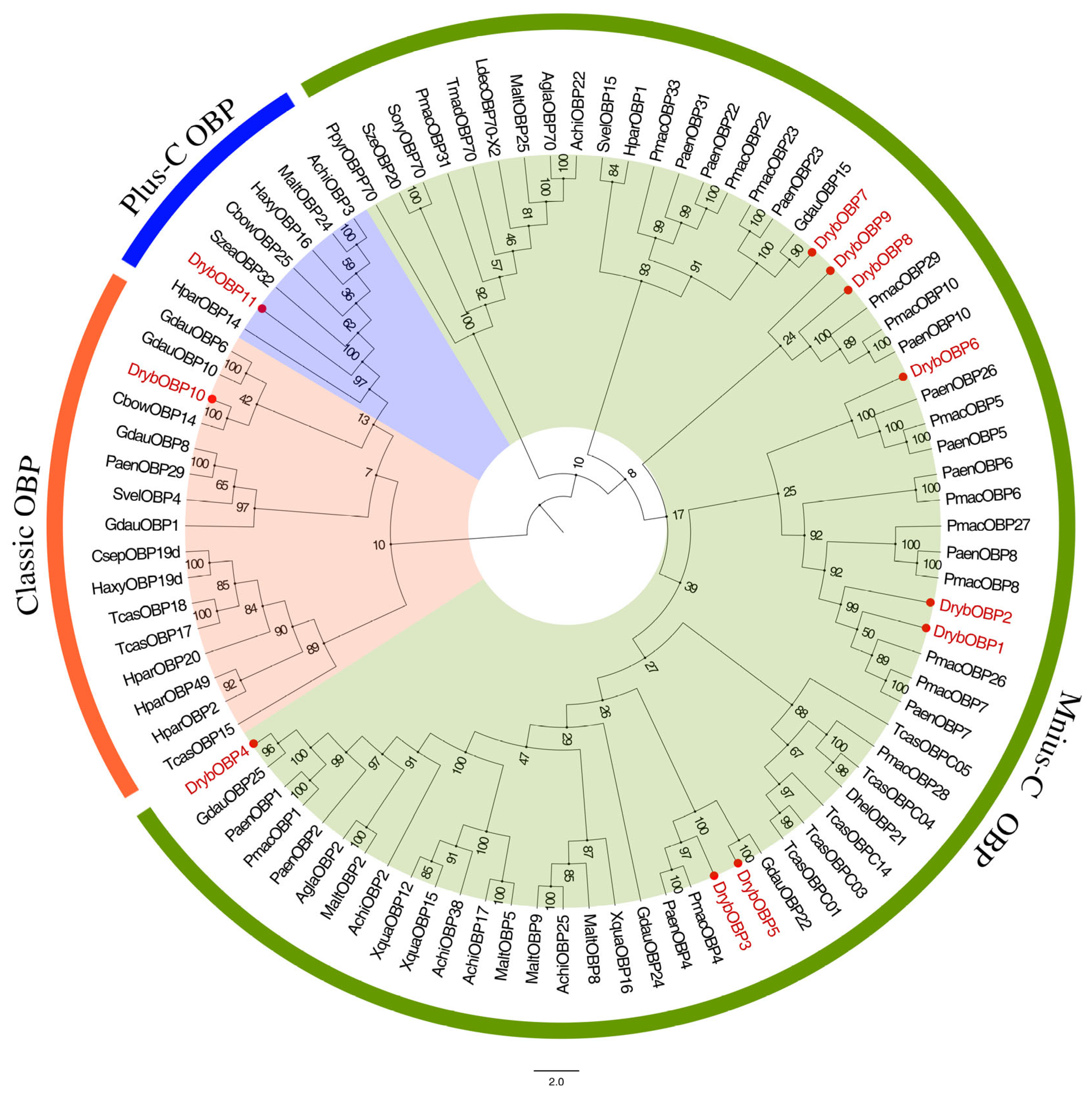 Insects 15 00251 g001