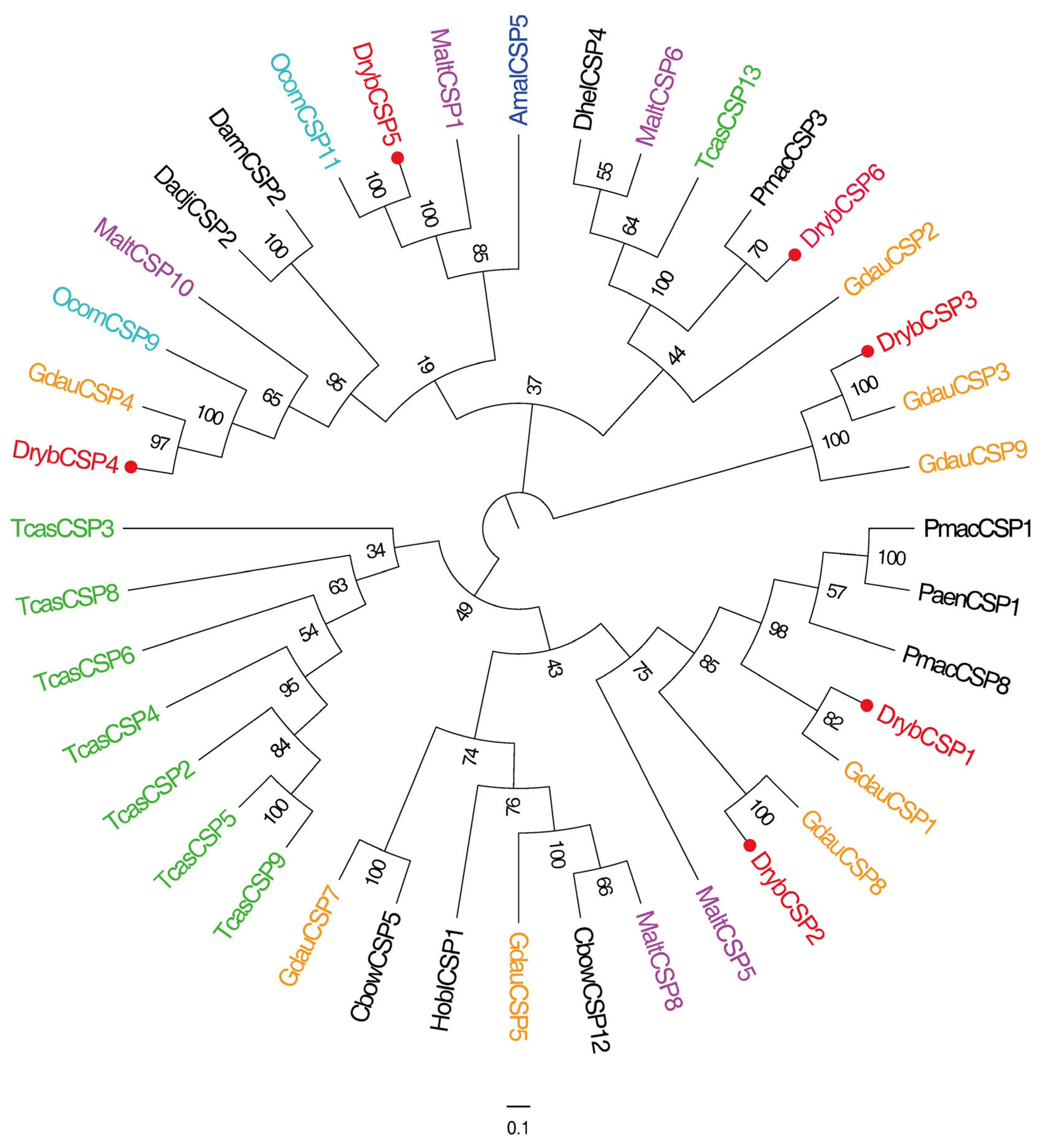Insects 15 00251 g002