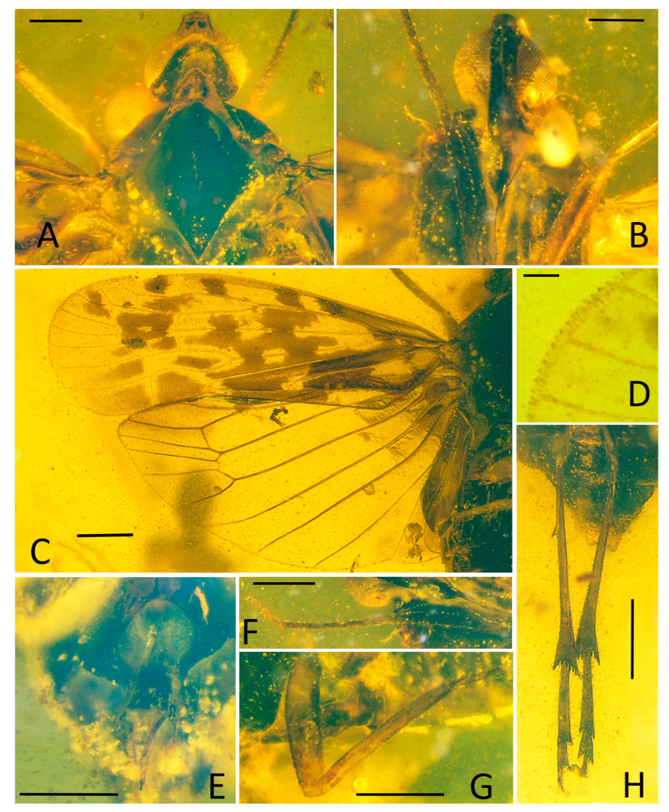 Insects 15 00252 g002