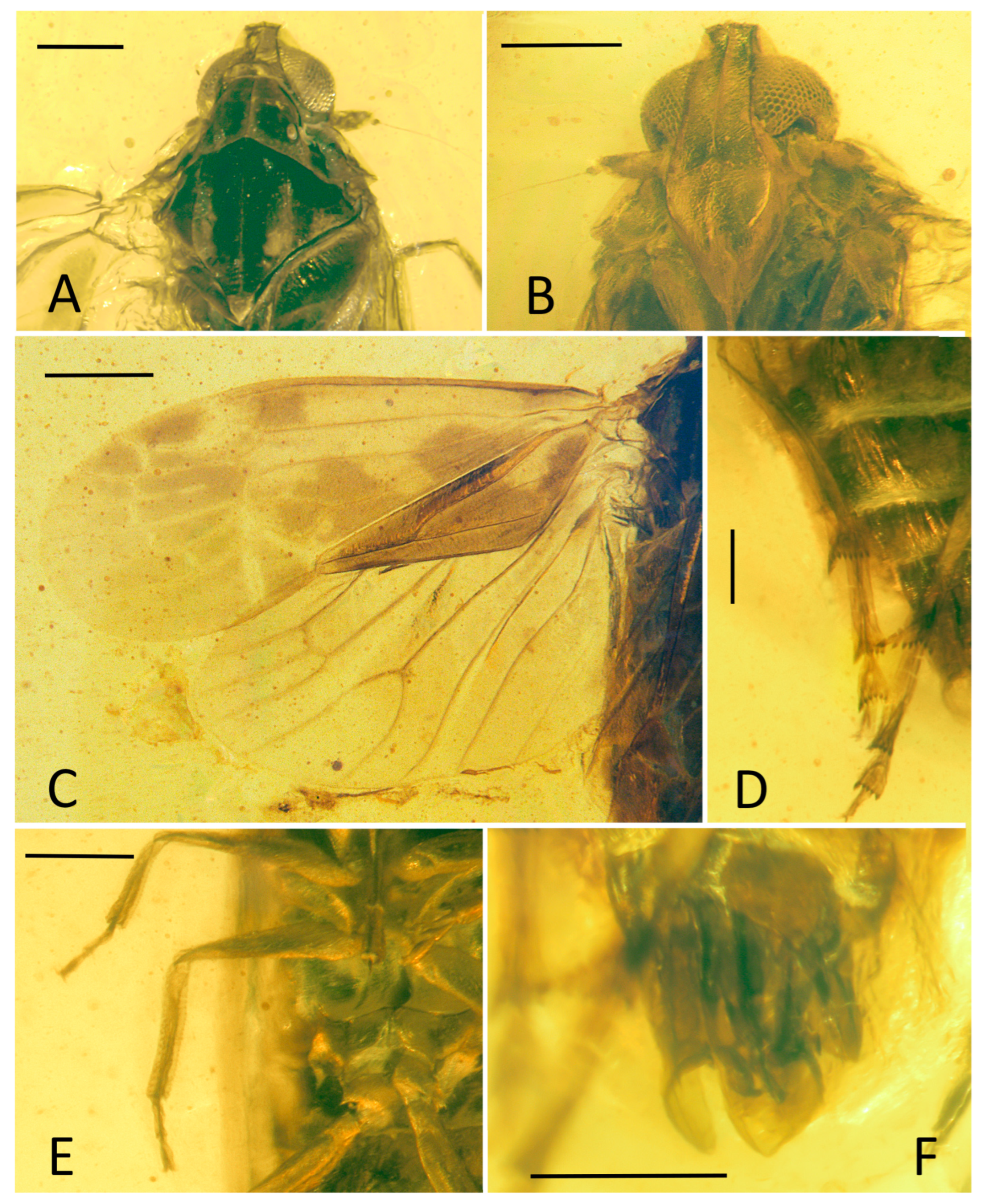 Insects 15 00252 g005