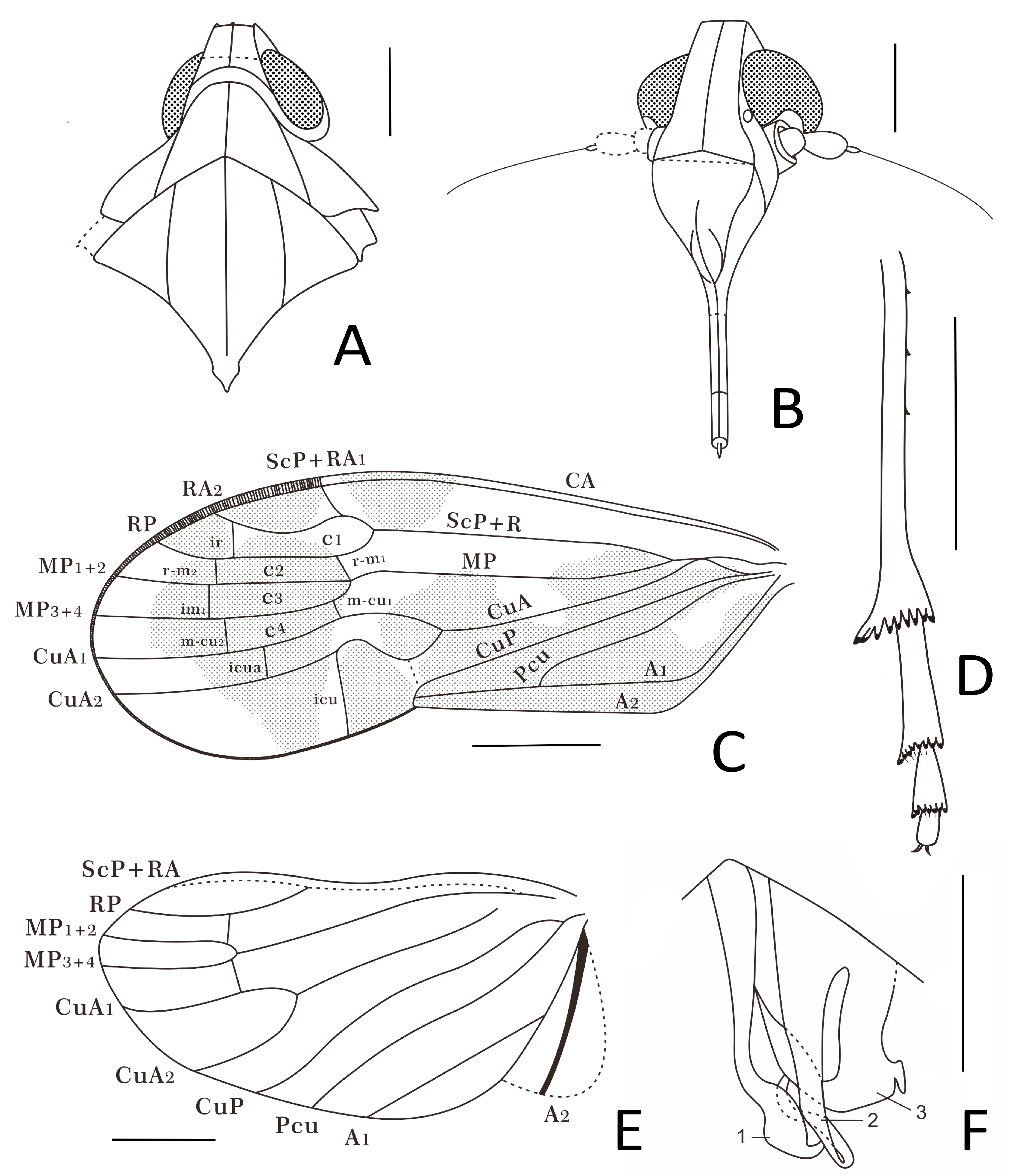 Insects 15 00252 g006