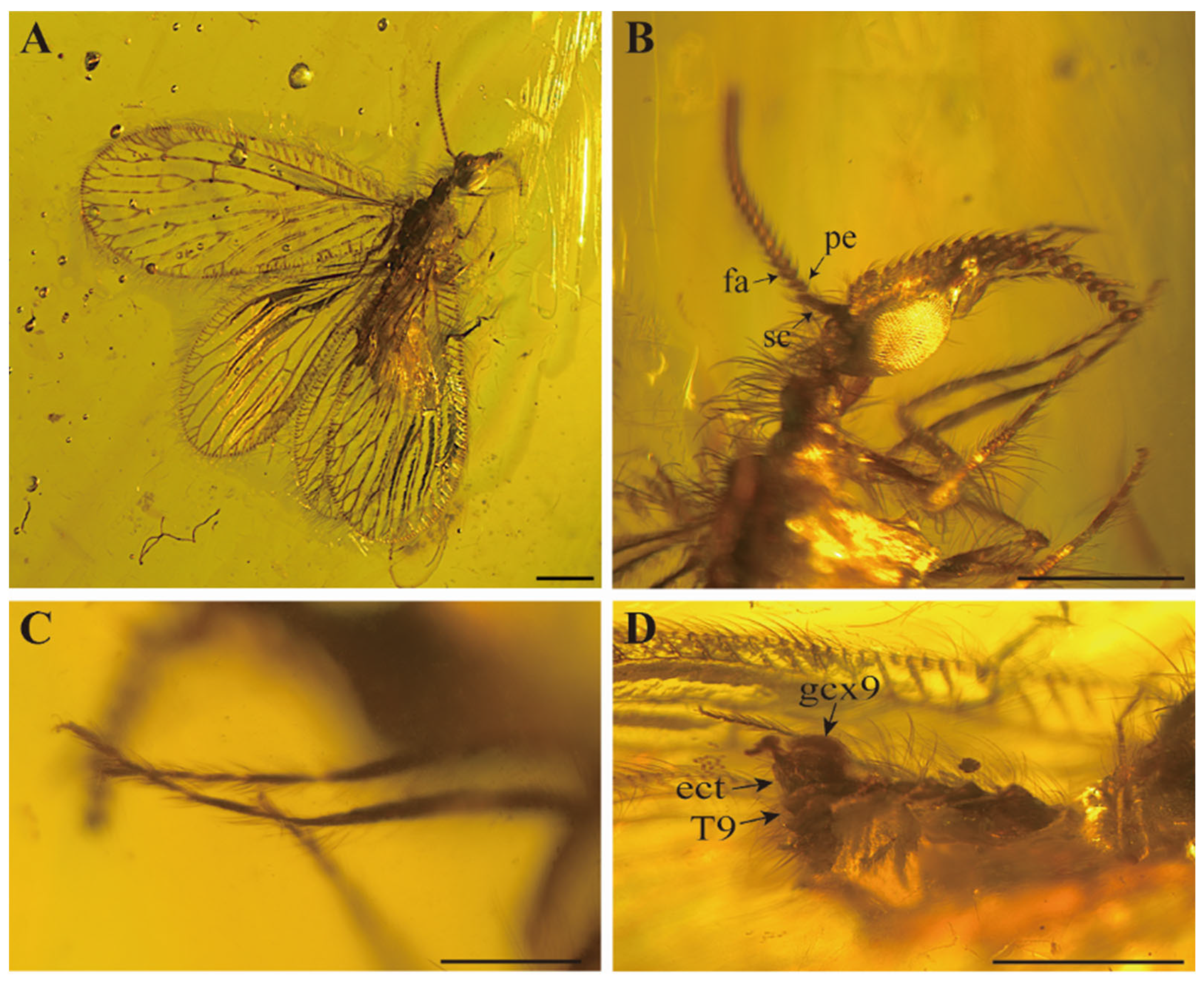 Insects 15 00259 g001