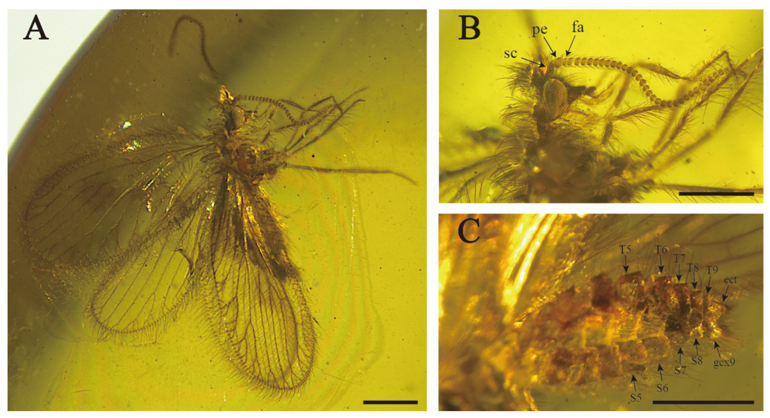 Insects 15 00259 g005