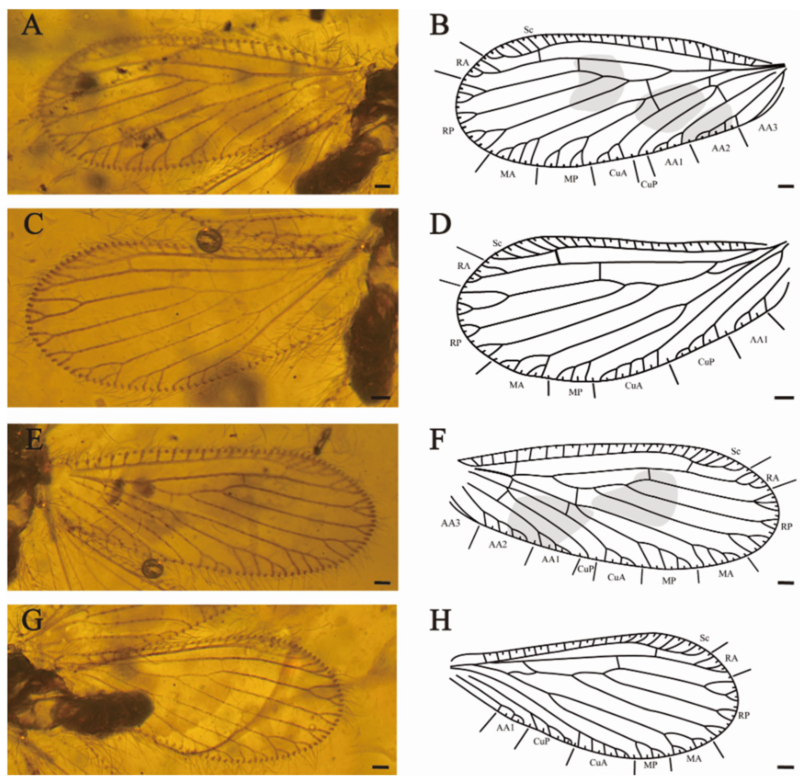Insects 15 00259 g008