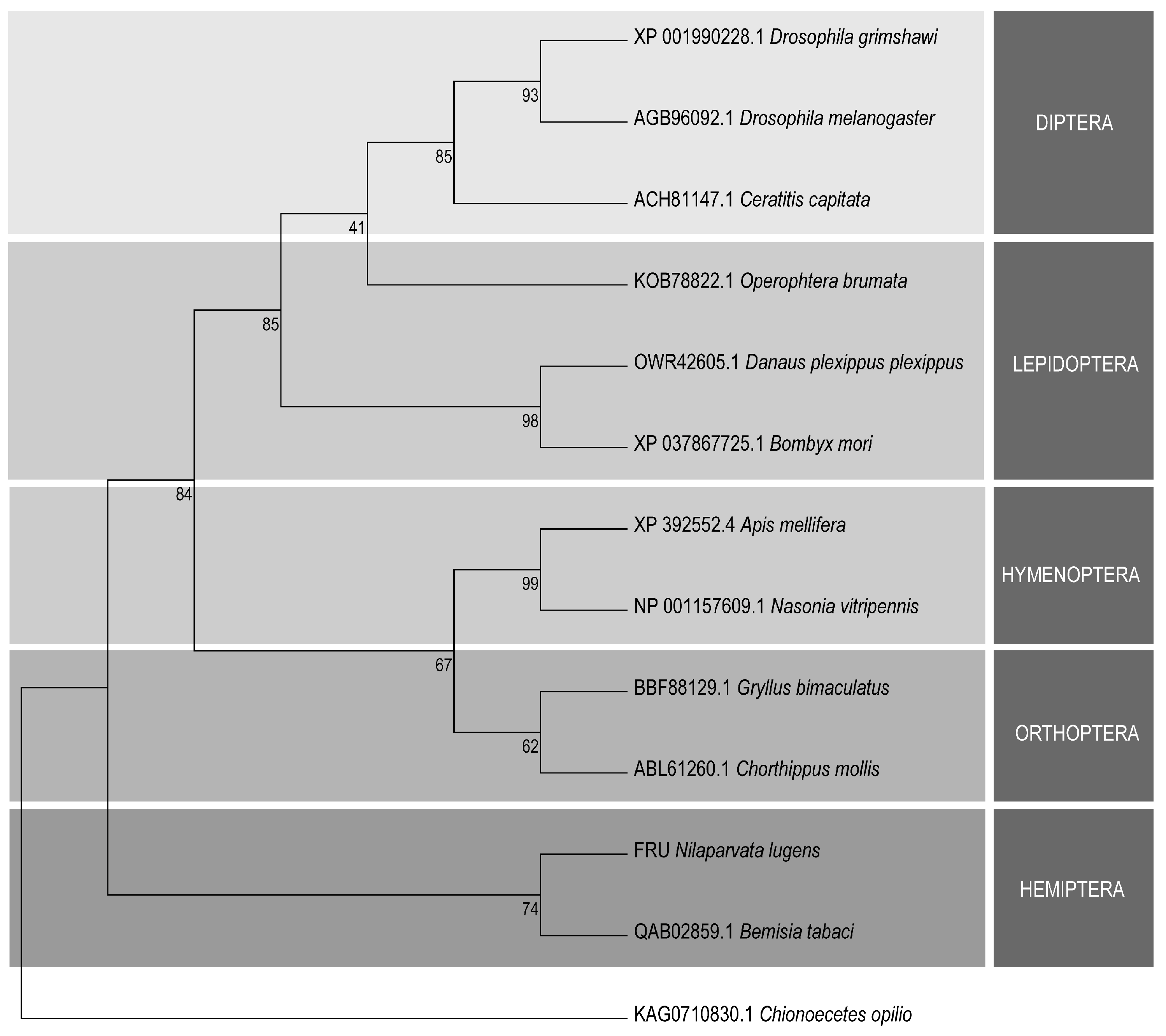 Insects 15 00262 g002