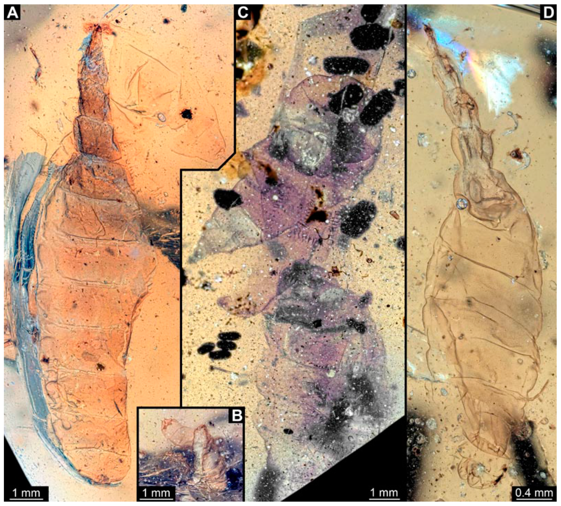 Insects 15 00270 g005