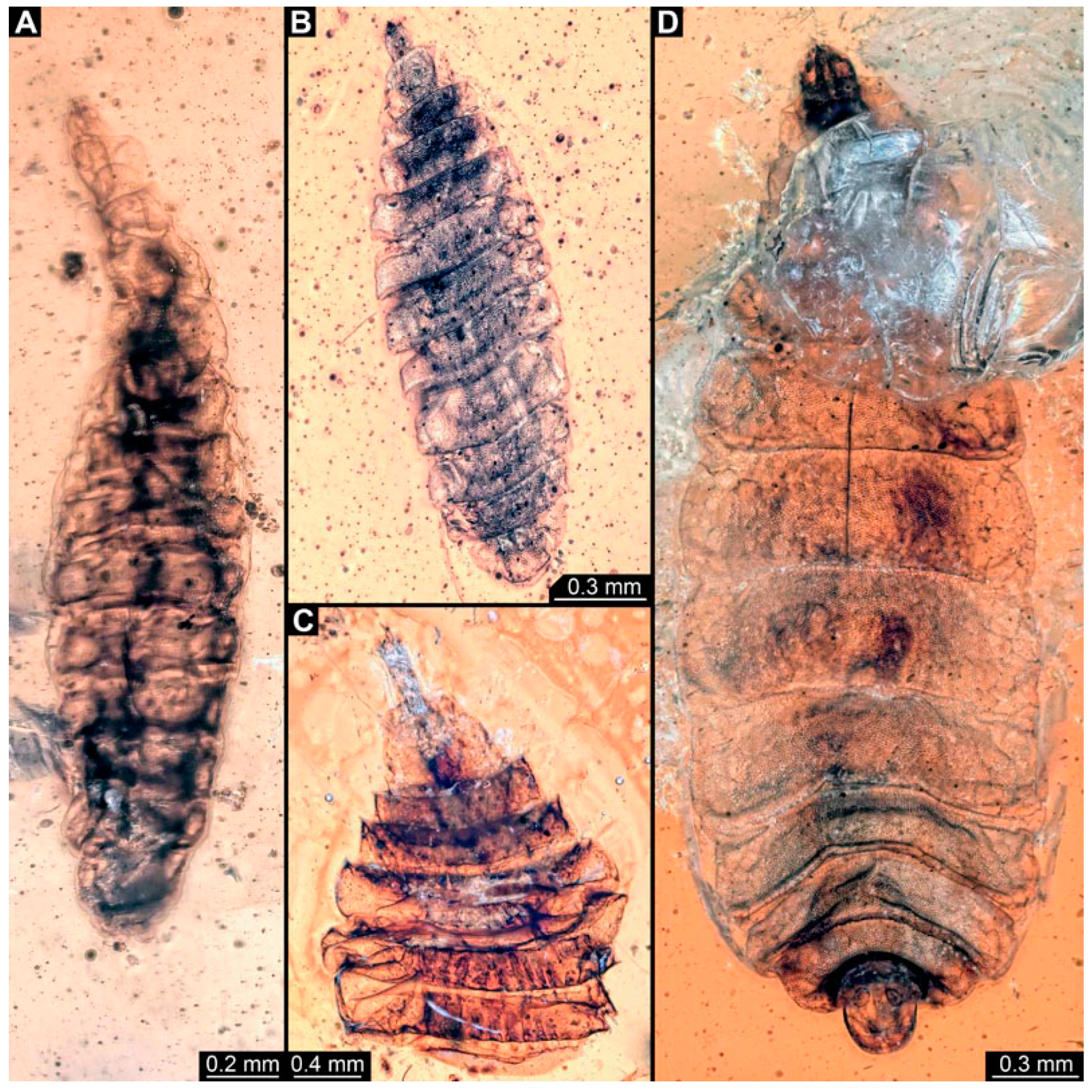 Insects 15 00270 g009