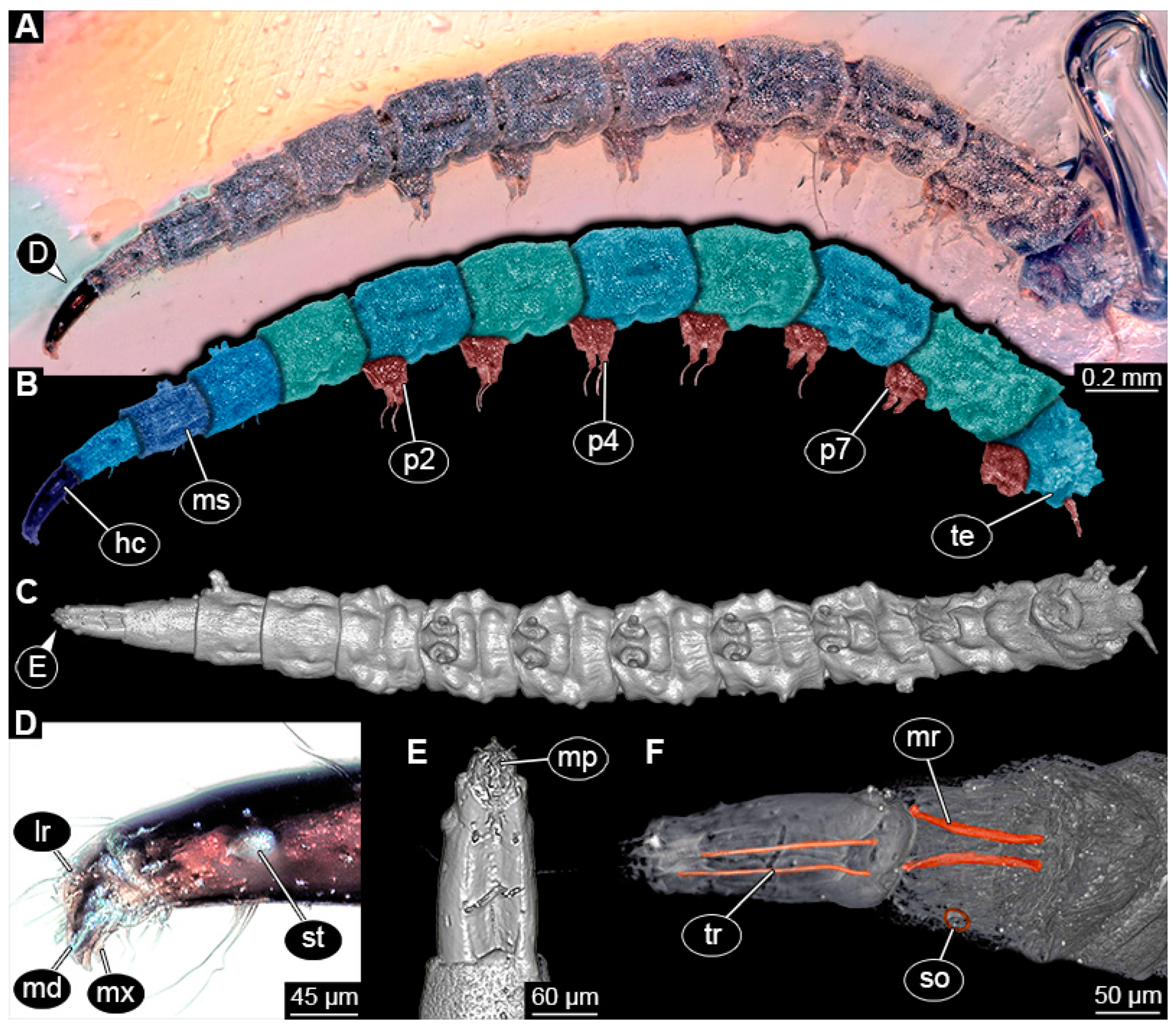 Insects 15 00270 g011