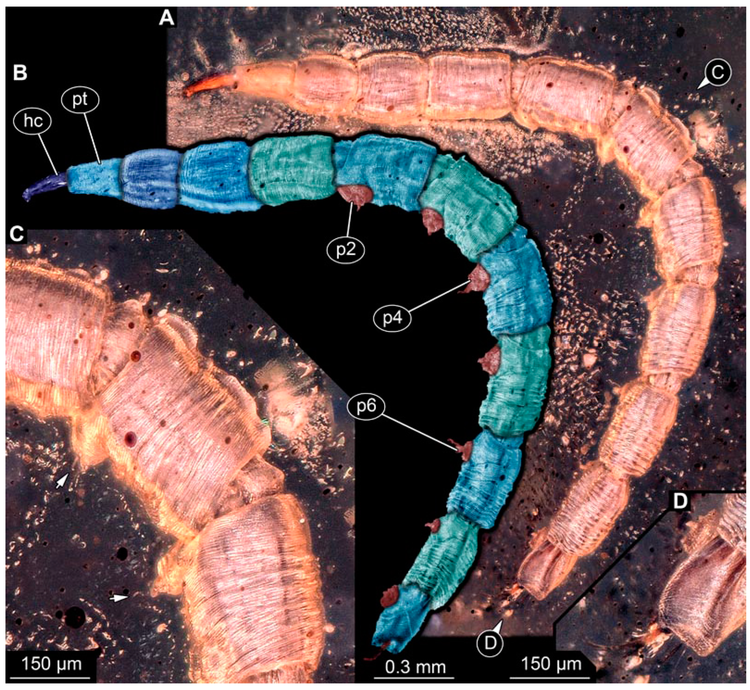Insects 15 00270 g012