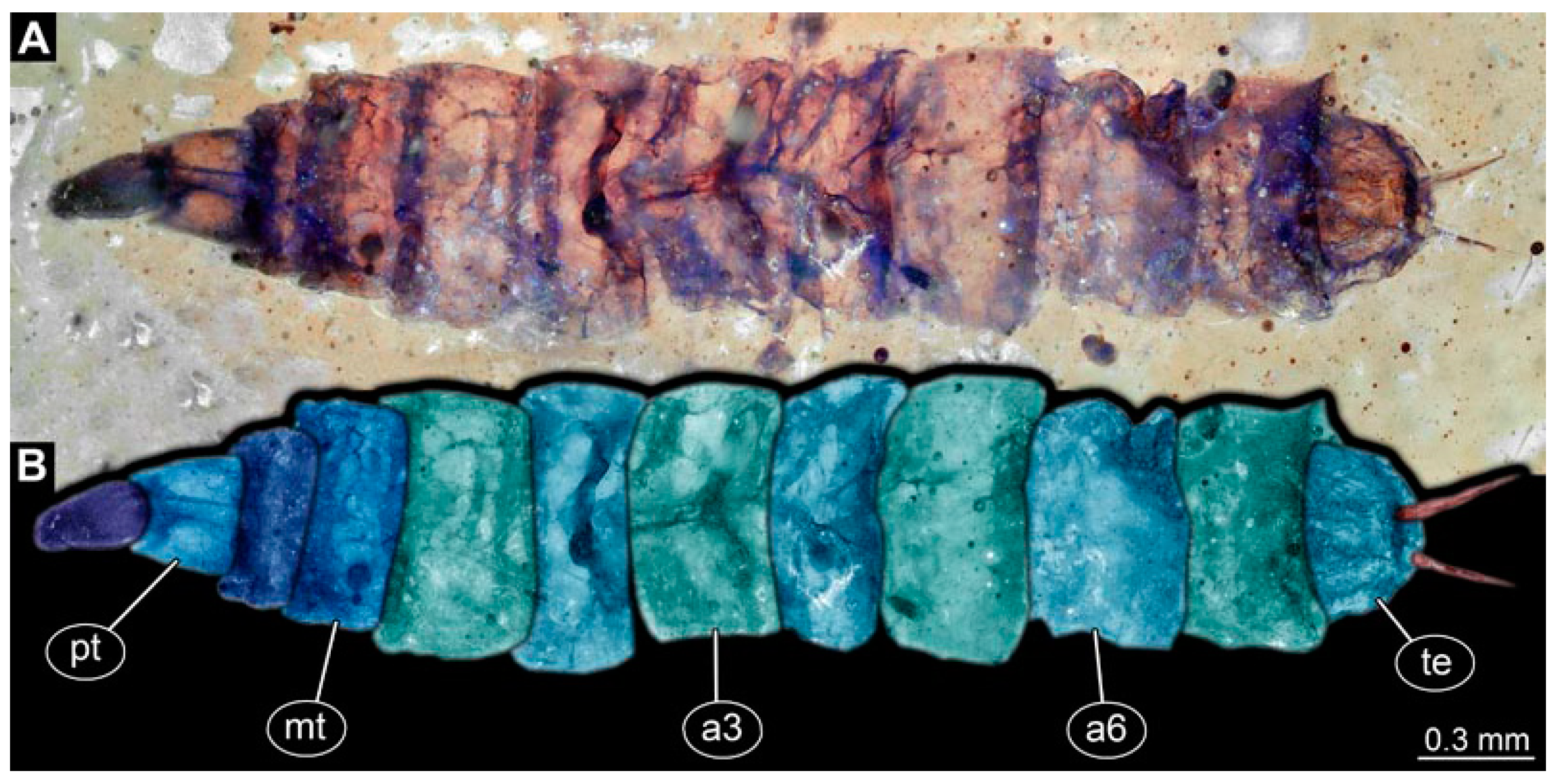 Insects 15 00270 g015