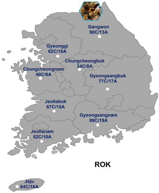 Molecular Identification and Prevalence of the Mite Carpoglyphus lactis ...