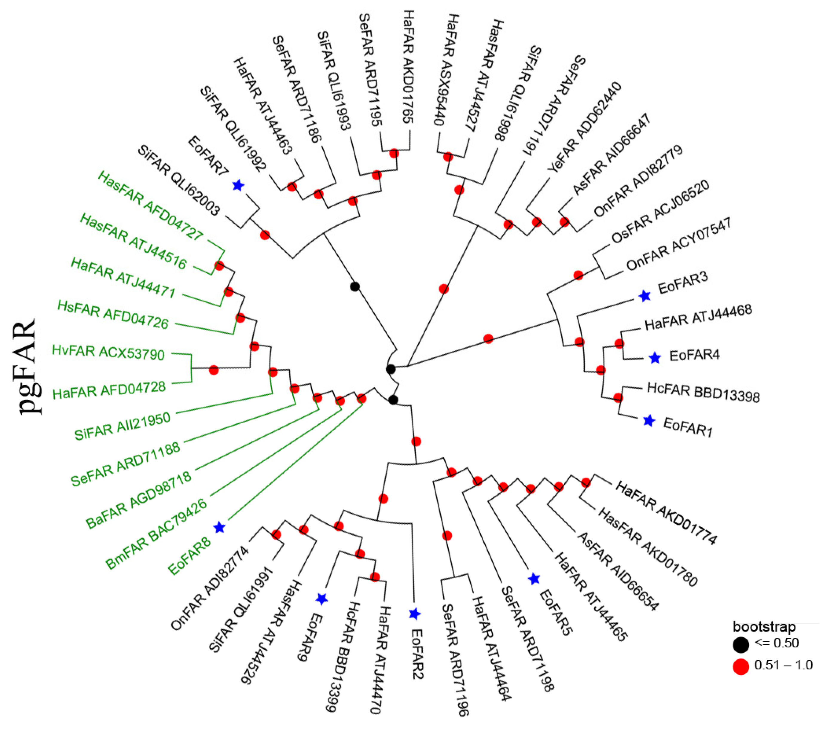 Insects 15 00276 g002