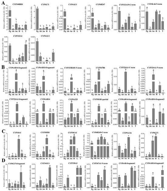 Identification of Candidate Genes Associated with Type-II Identification of Candidate Genes Associated with Type-II