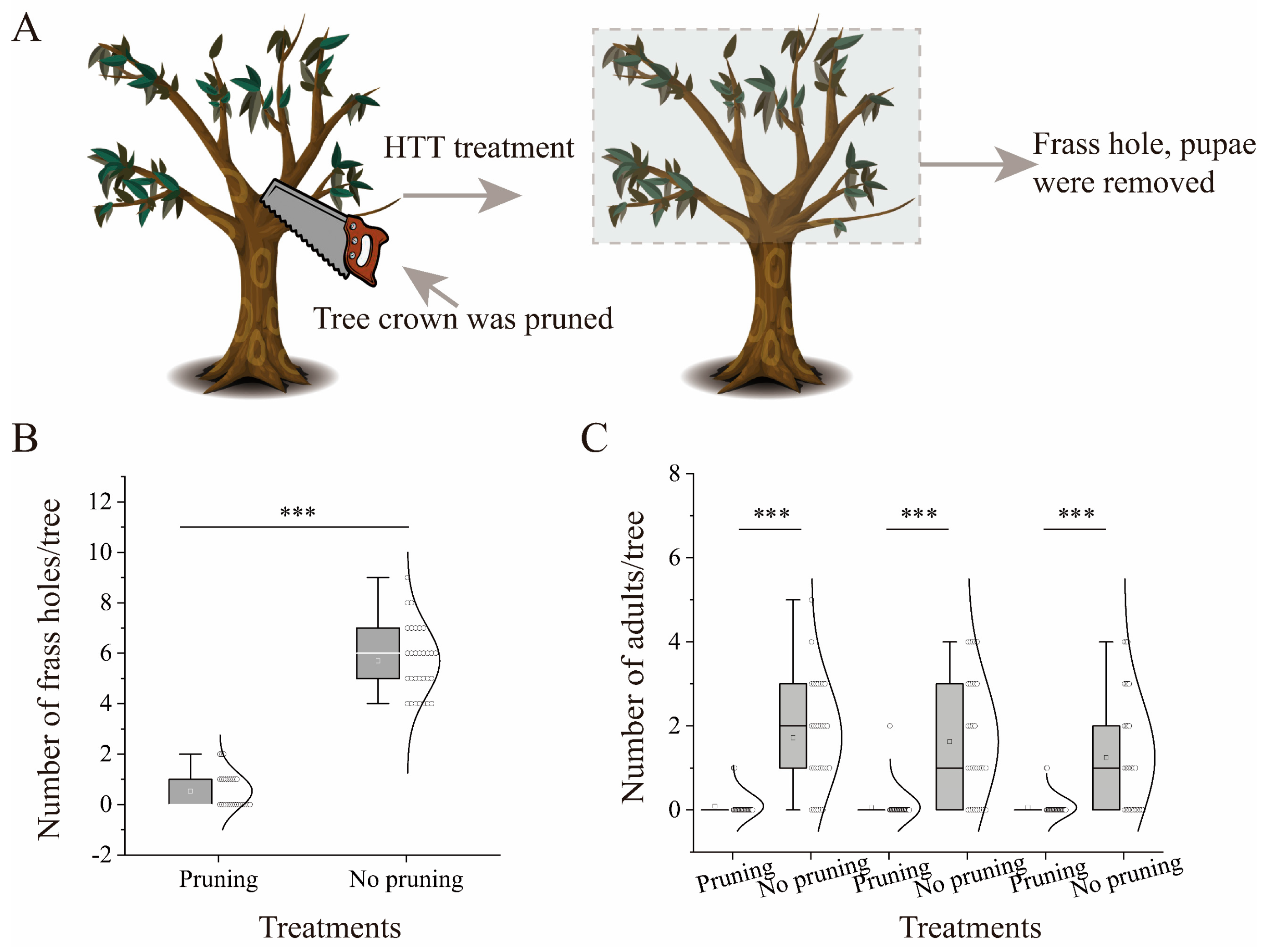 Insects 15 00278 g006