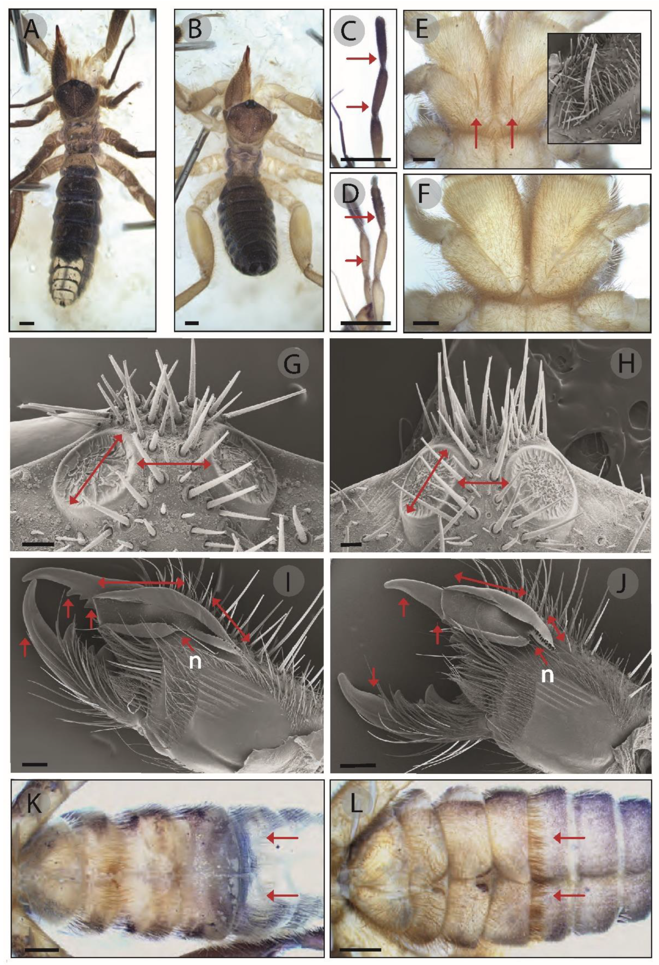 Insects 15 00284 g003
