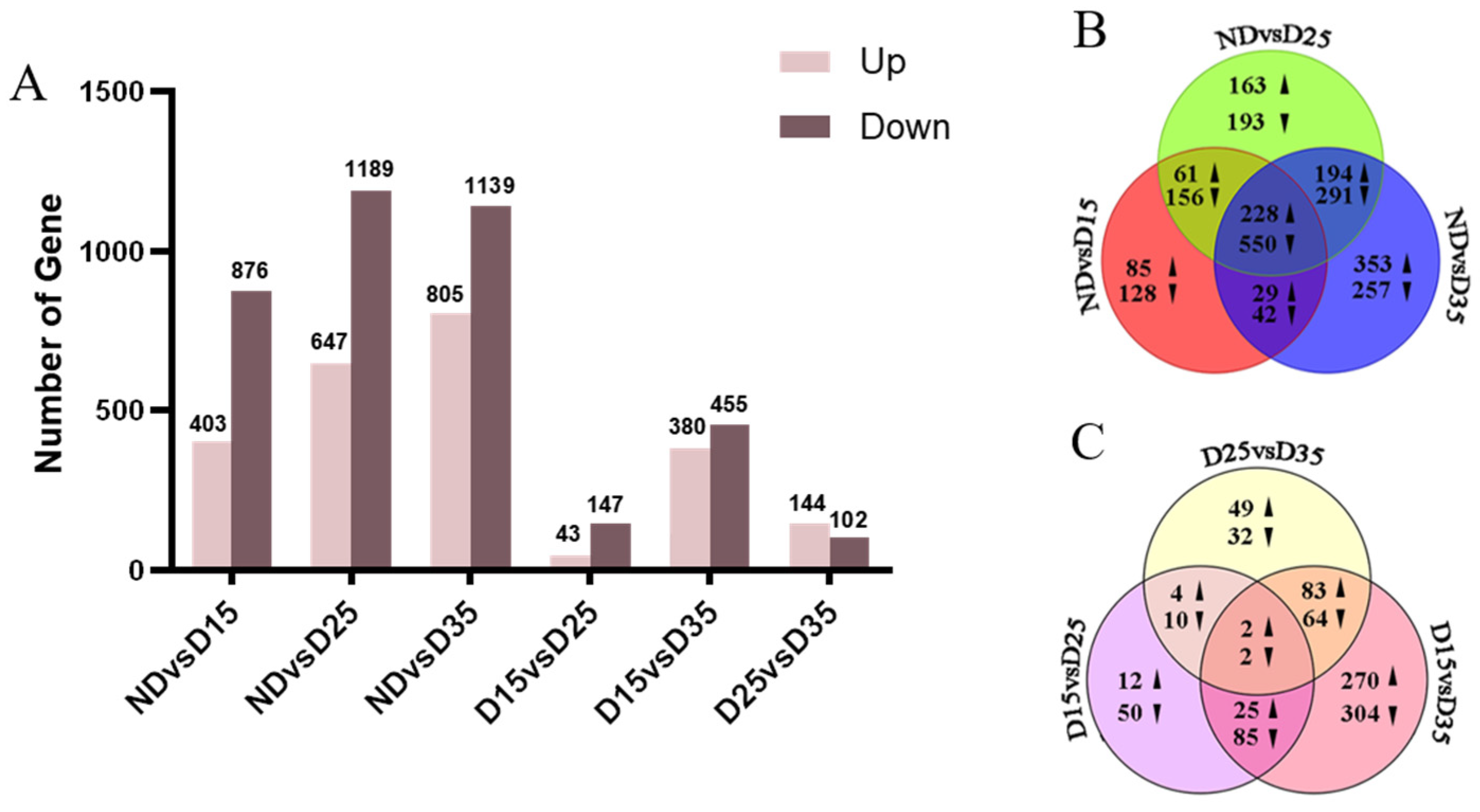 Insects 15 00299 g004