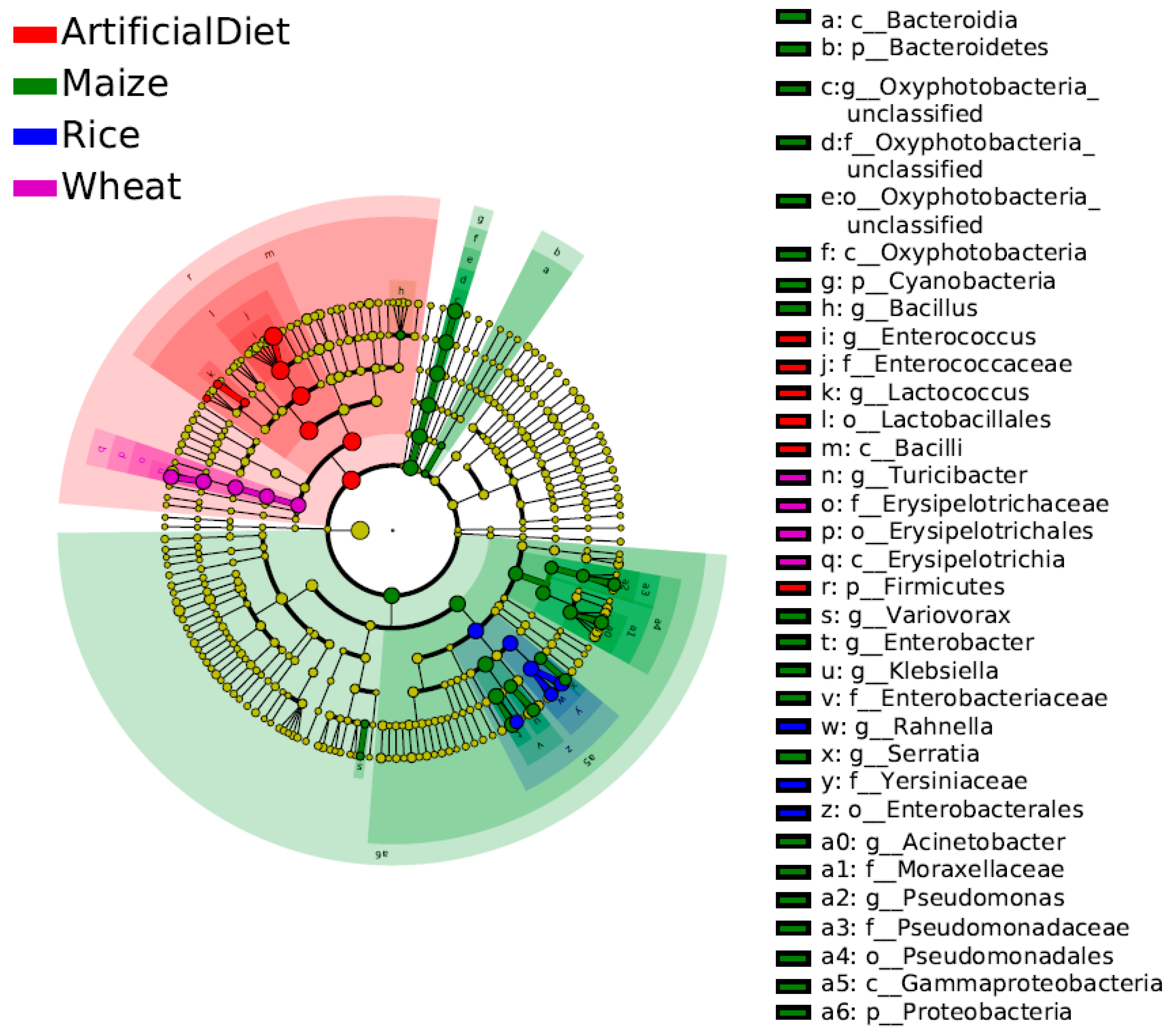 Insects 15 00304 g004 Insects 15 00304 g004