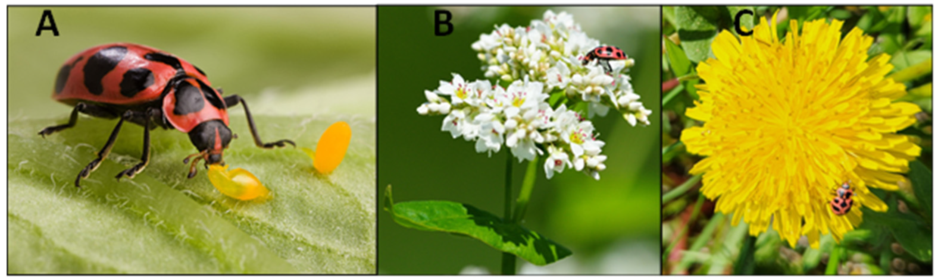 Insects 15 00305 g001 Insects 15 00305 g001