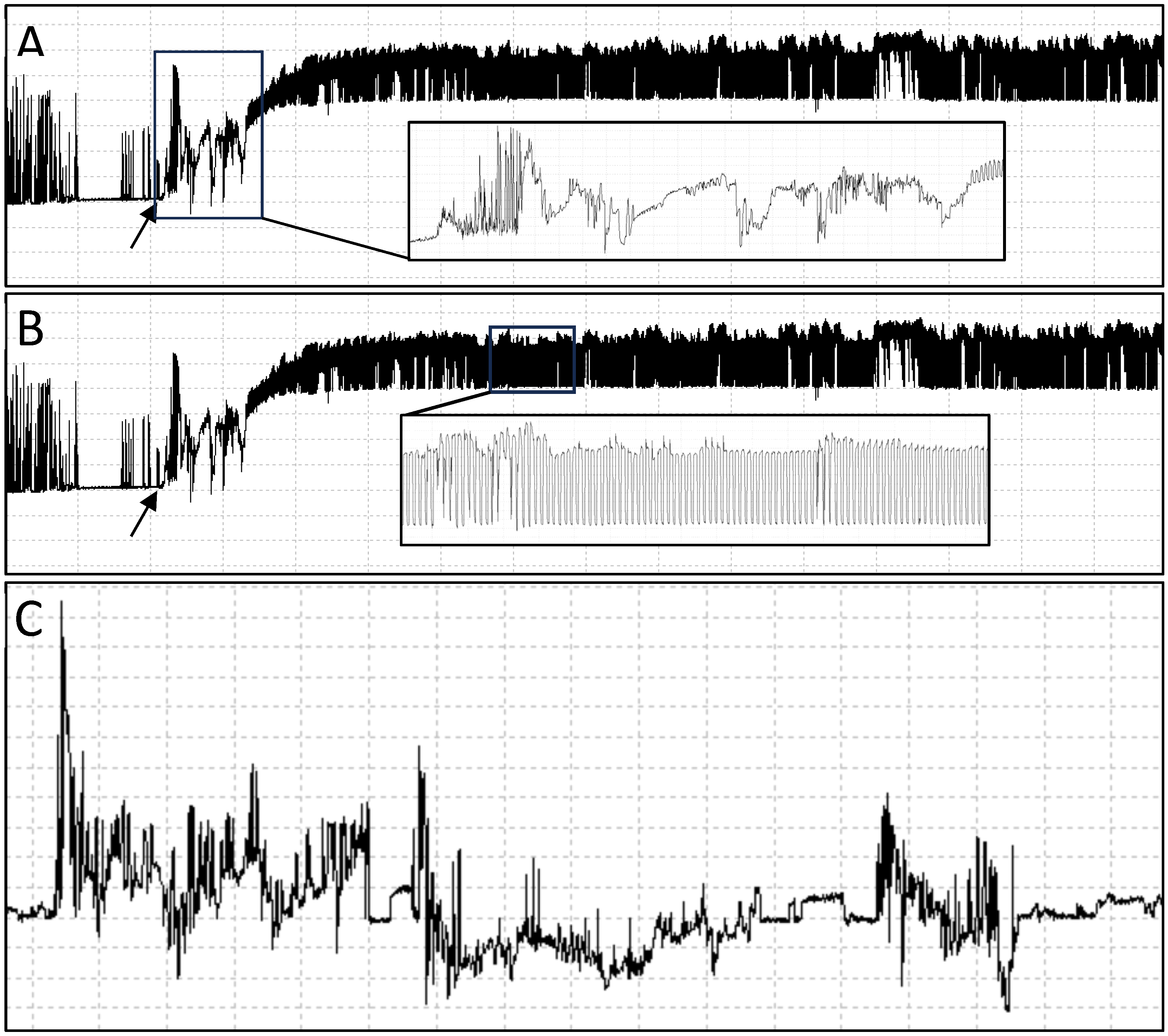 Insects 15 00316 g001