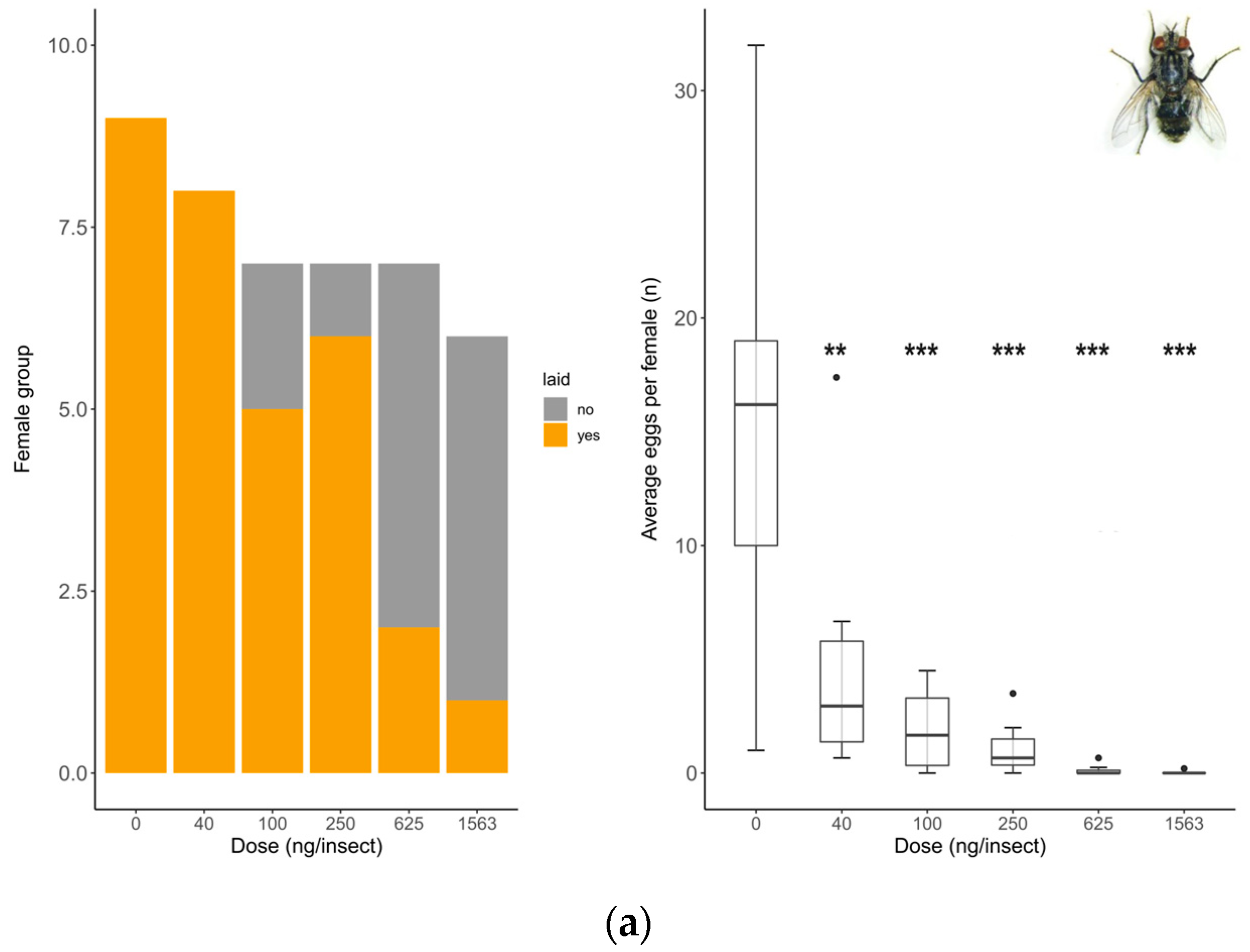 Insects 15 00317 g002a